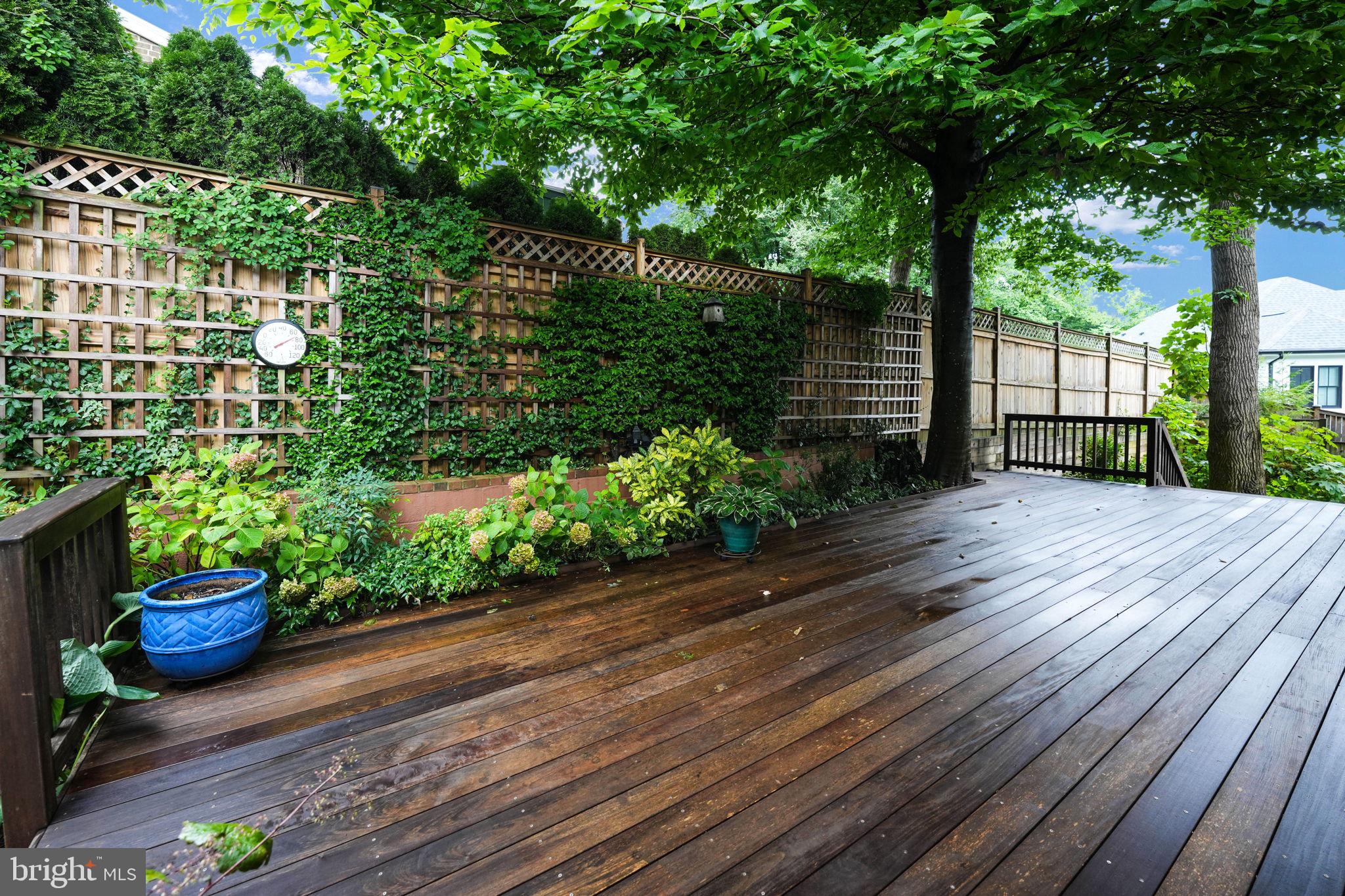 CHAIN BRIDGE FOREST - Residential