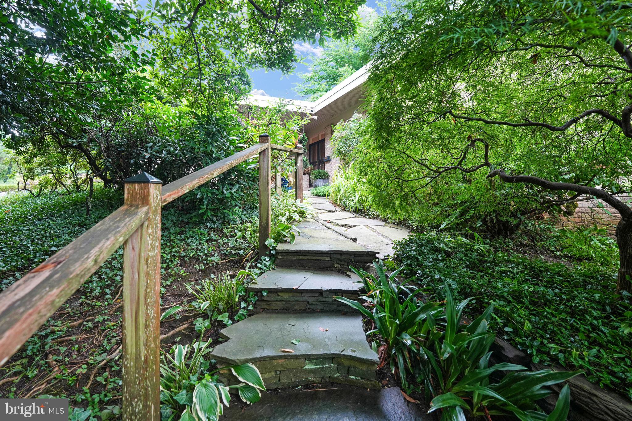 CHAIN BRIDGE FOREST - Residential
