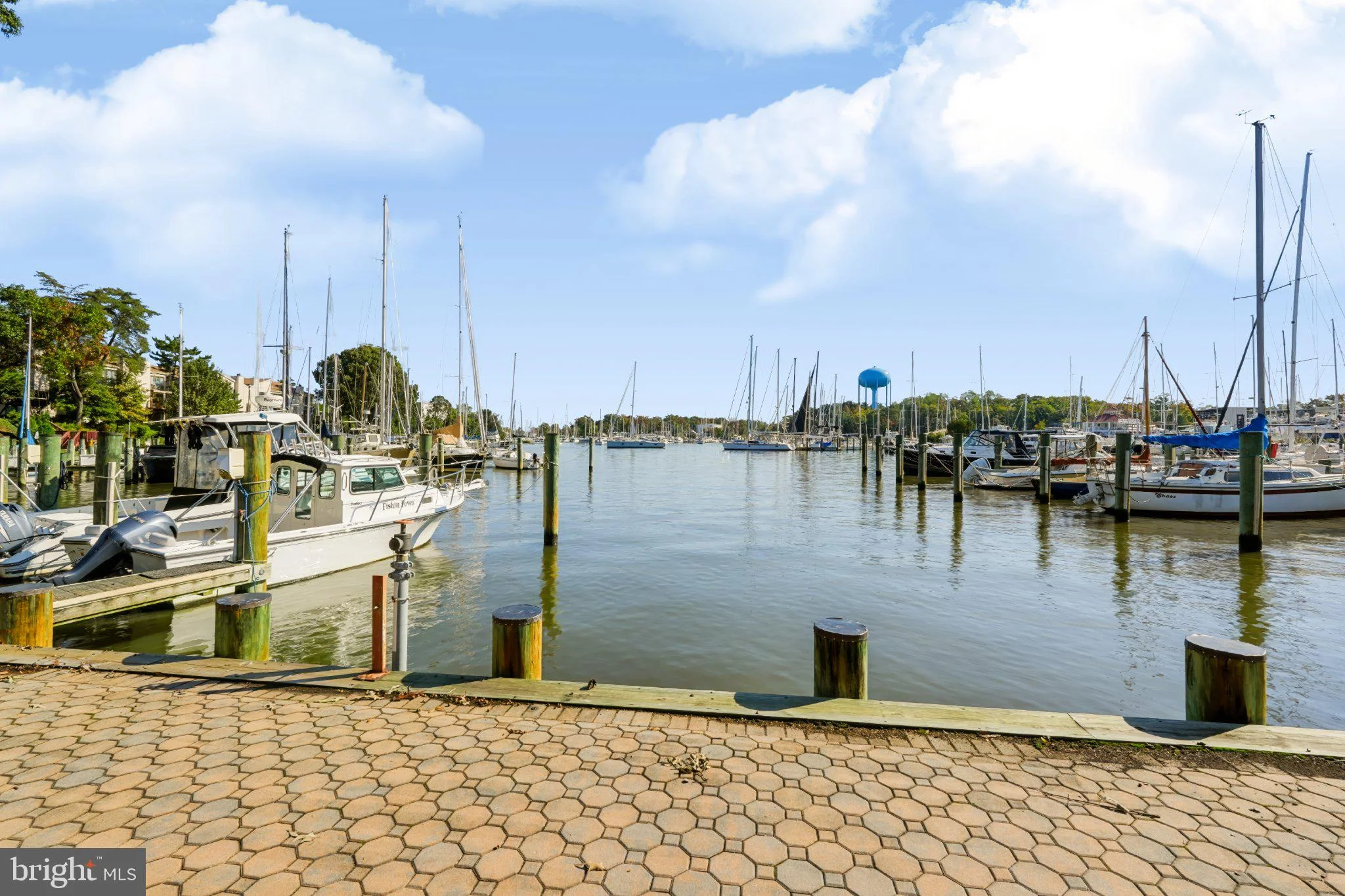 765 Fairview Avenue Unit 765 C, Annapolis, MD 21403