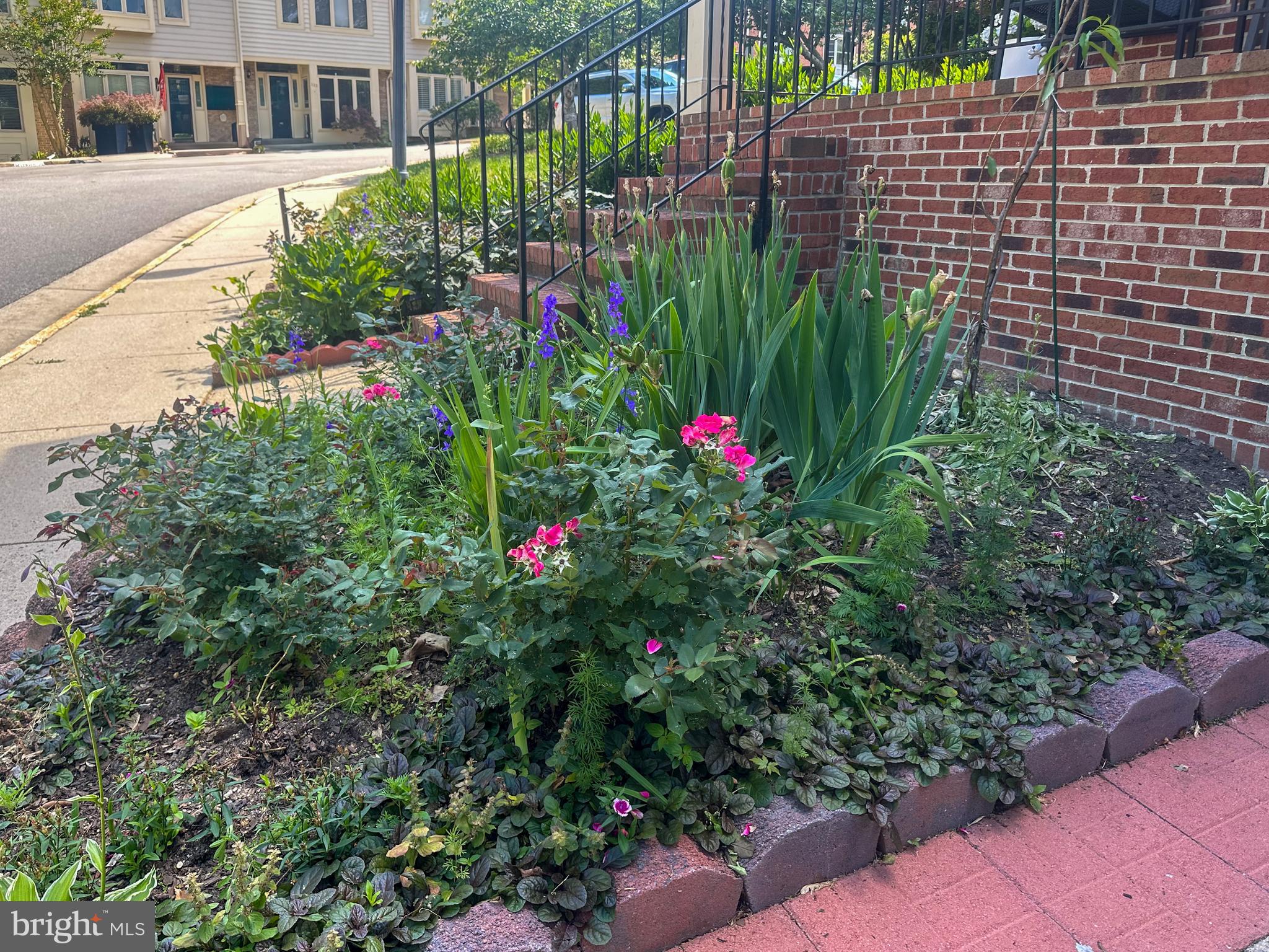 THE TOWNS OF OCCOQUAN MI - Residential Lease