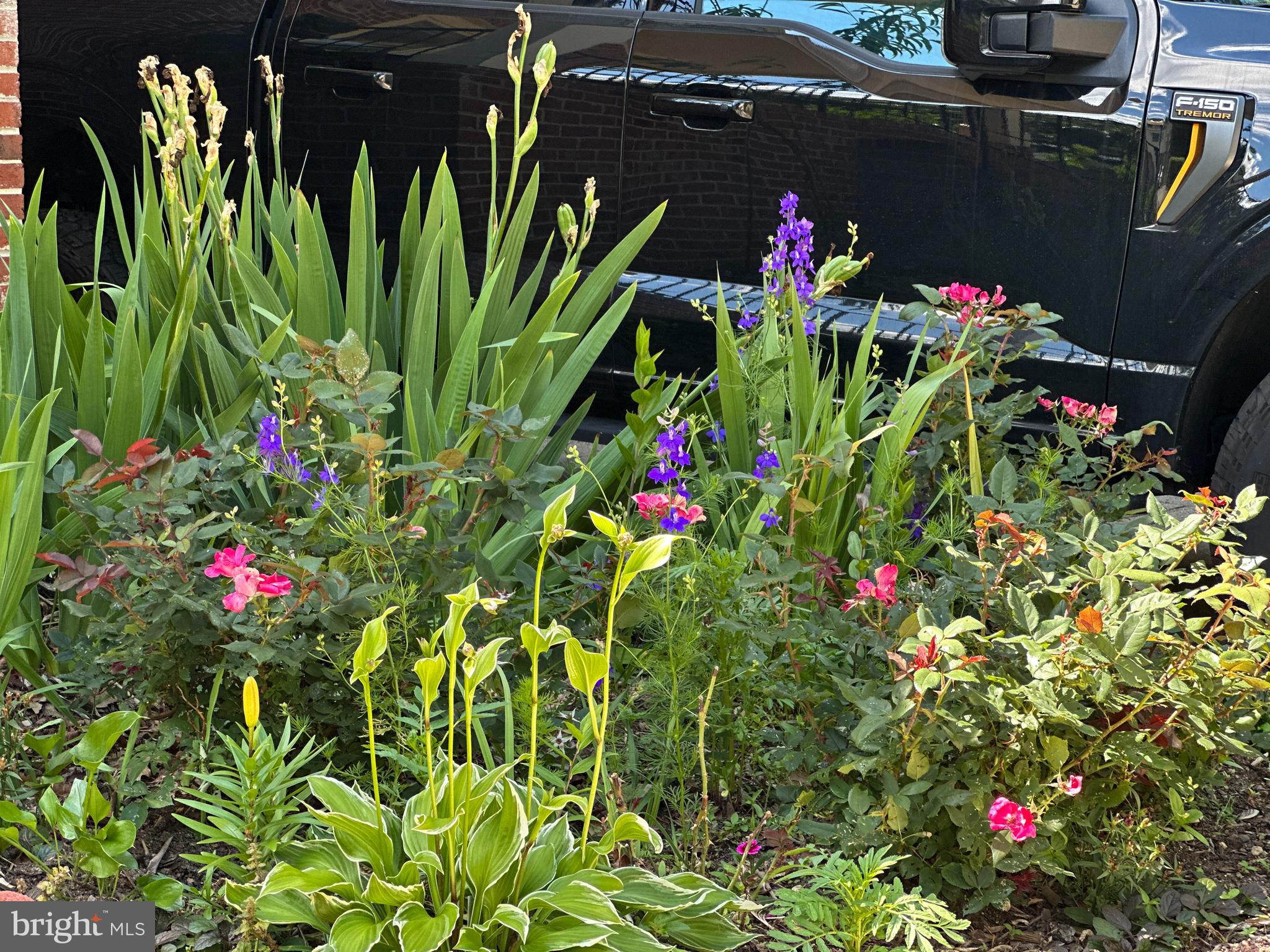 THE TOWNS OF OCCOQUAN MI - Residential Lease