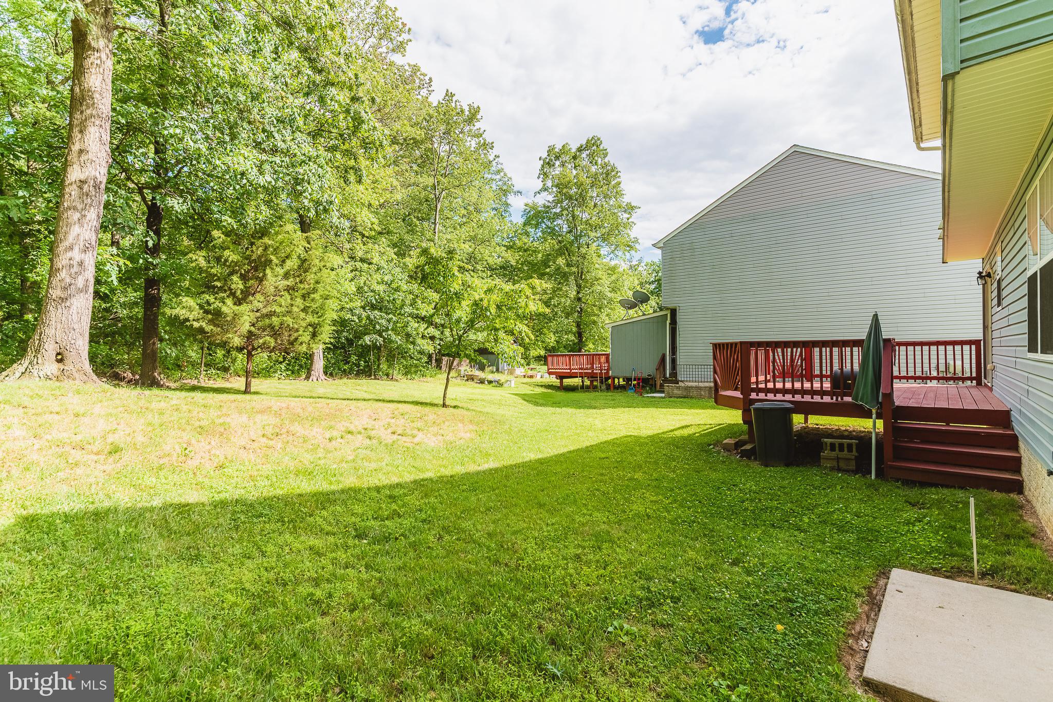 TRUMP WOODS - Residential