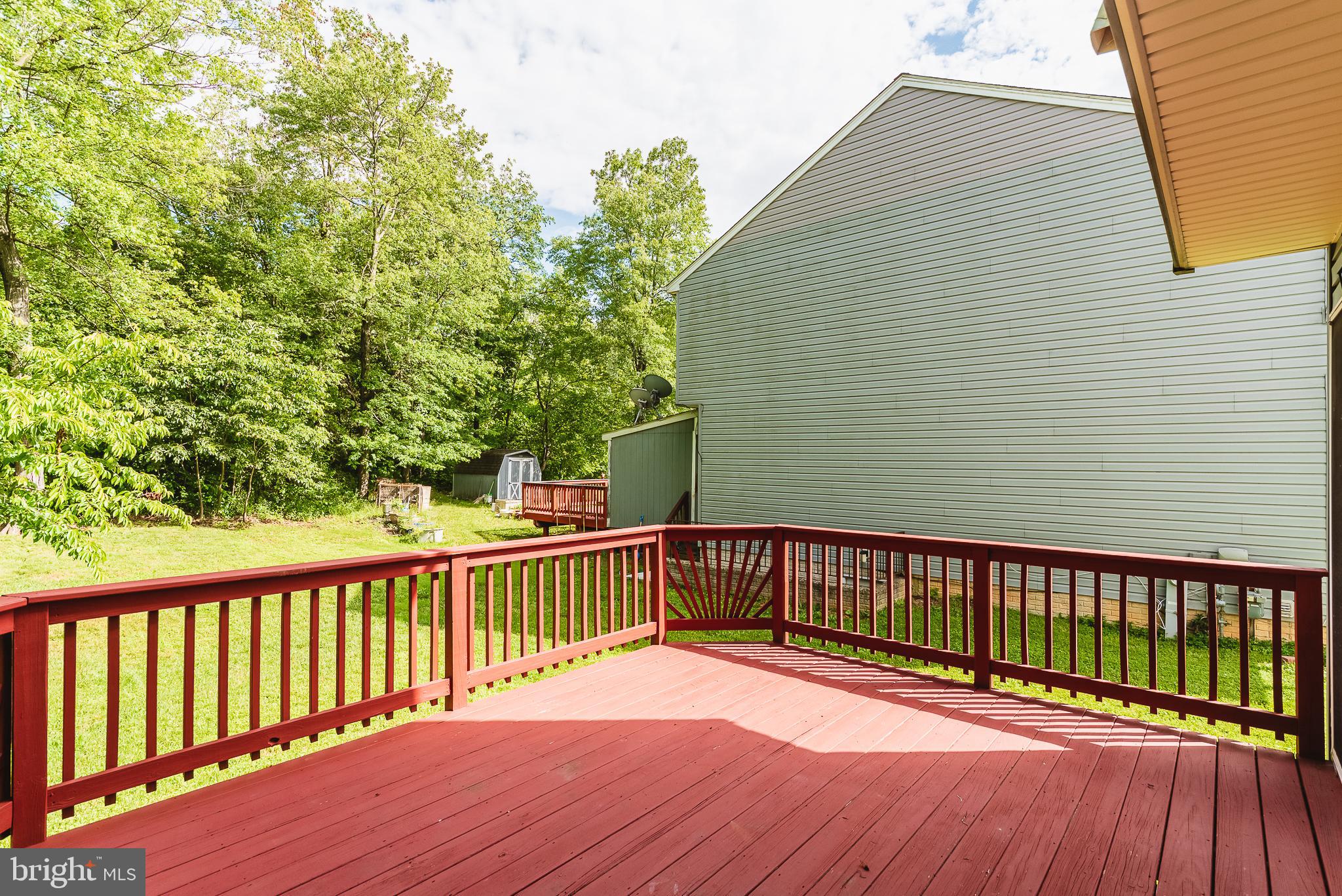 TRUMP WOODS - Residential