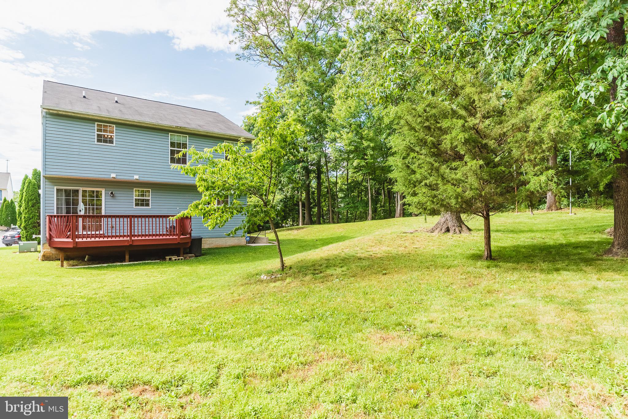 TRUMP WOODS - Residential