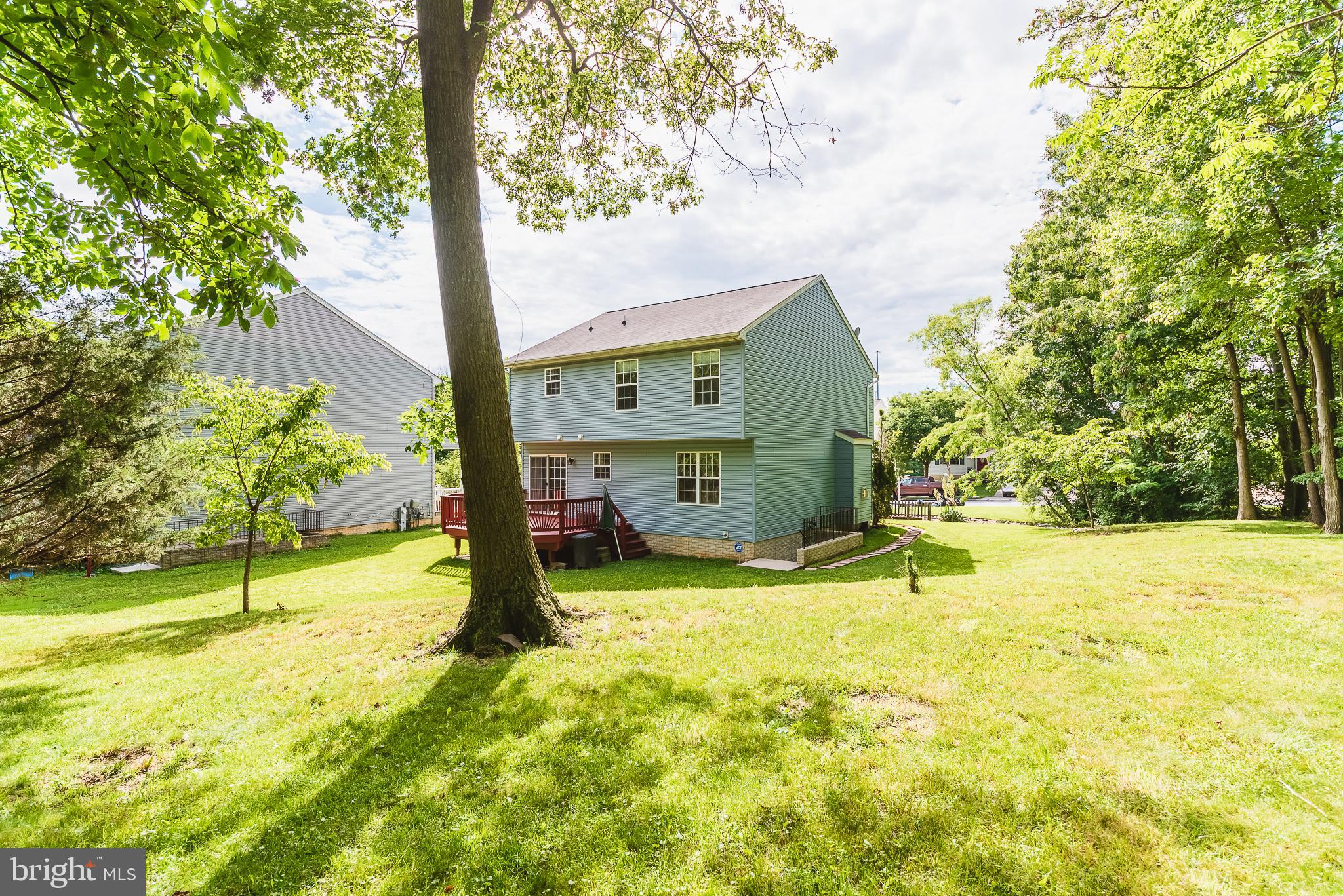 TRUMP WOODS - Residential