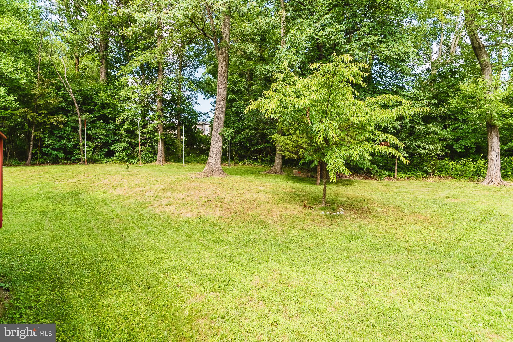 TRUMP WOODS - Residential