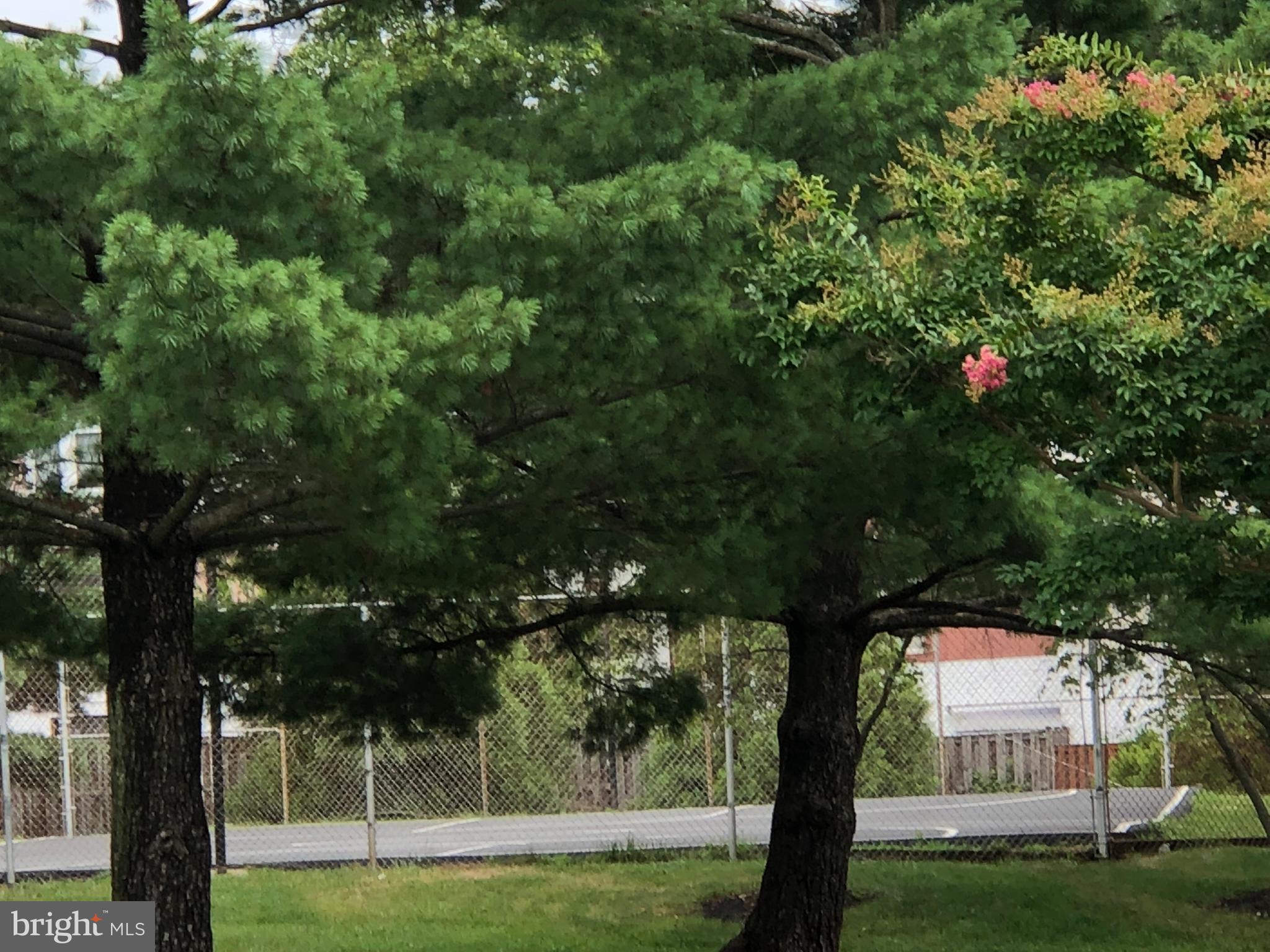 WINDSOR PARK - Residential