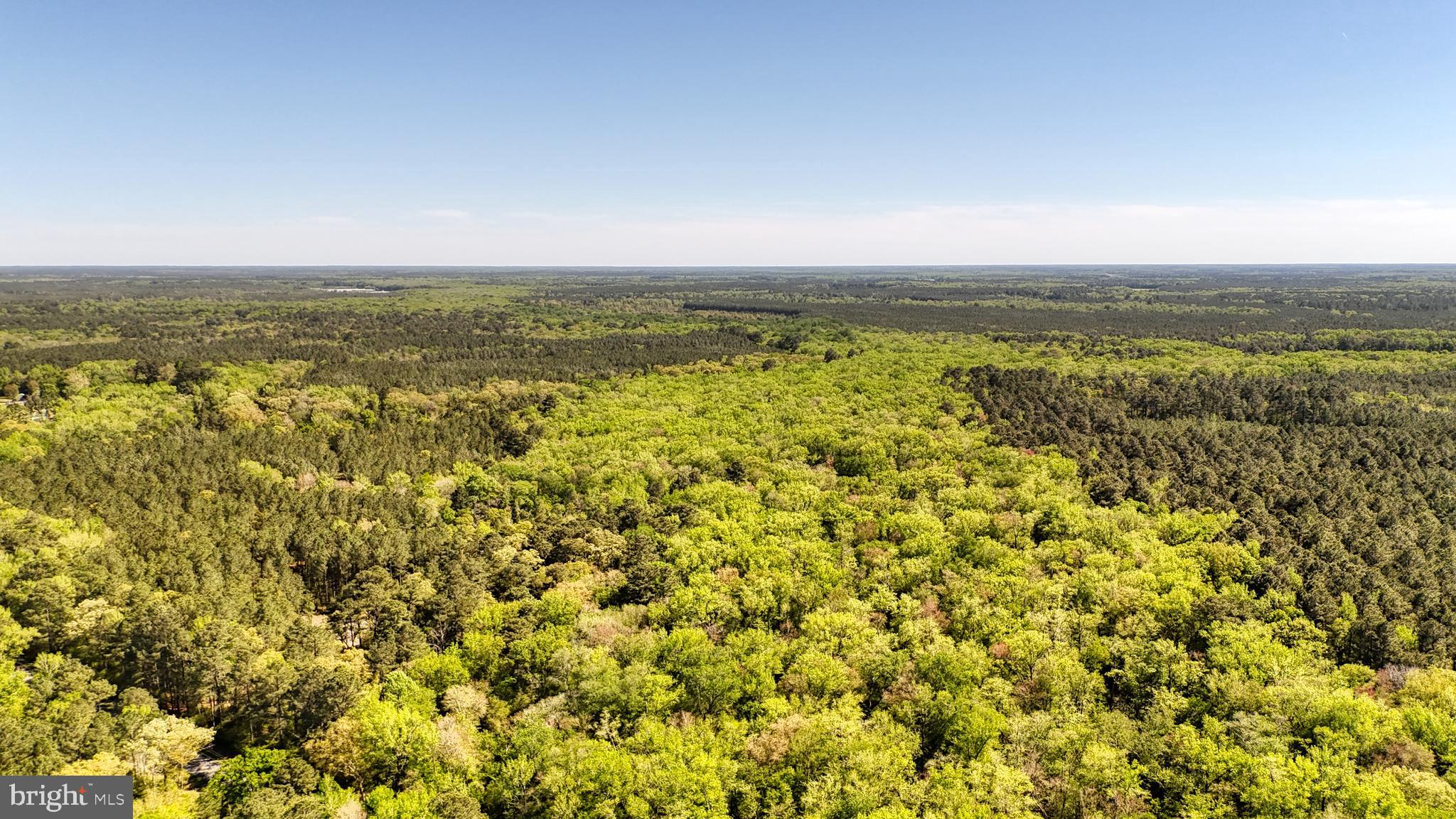 0 MEADOW BRIDGE ROAD