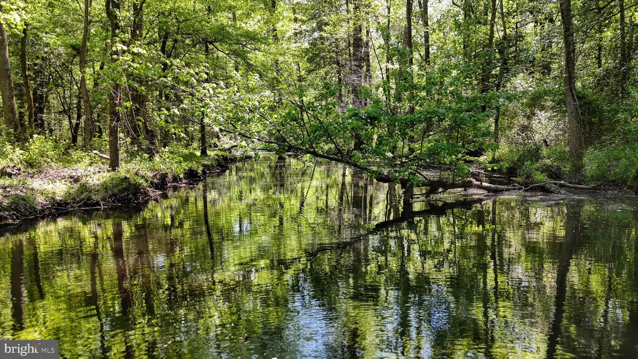 0 MEADOW BRIDGE ROAD