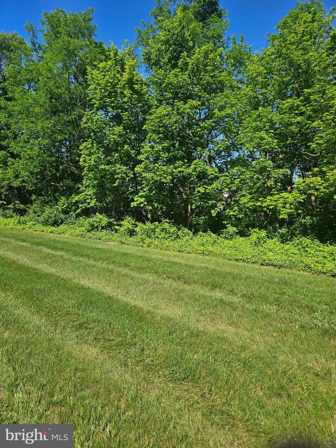 TIMBERLAKE TERRACE - Residential