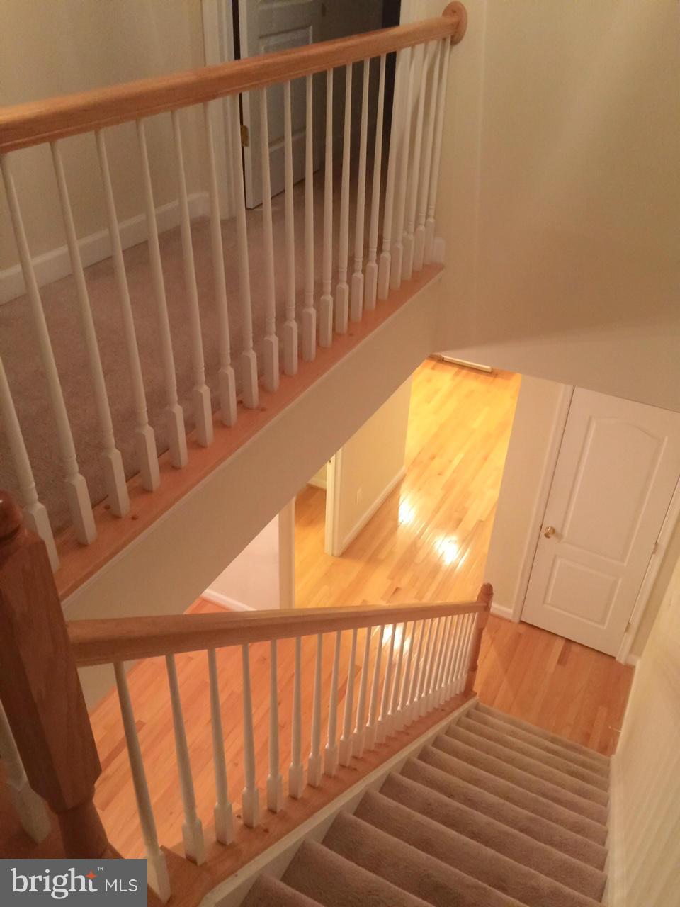 RUSSETT - Residential