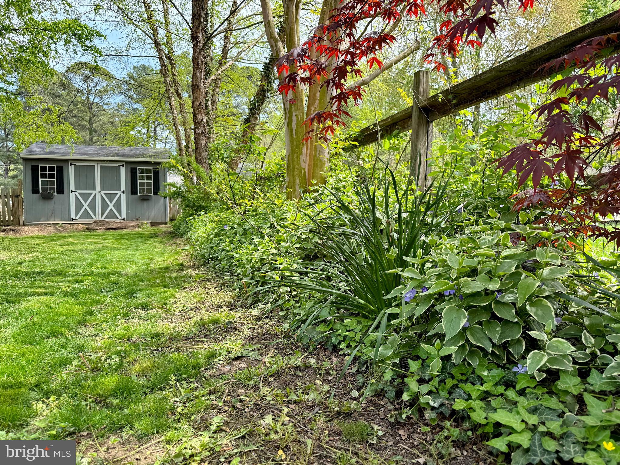 COBB ISLAND - Residential