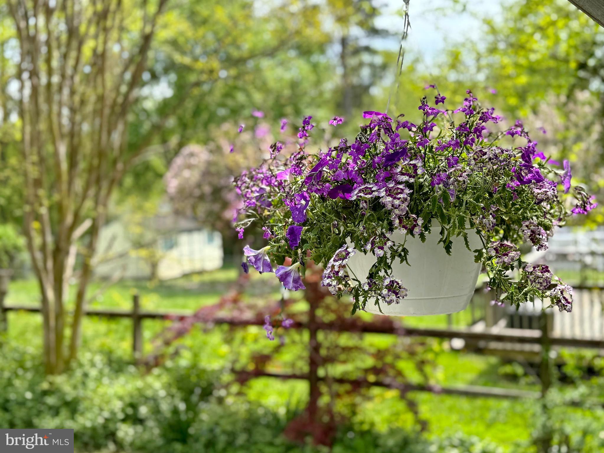 COBB ISLAND - Residential