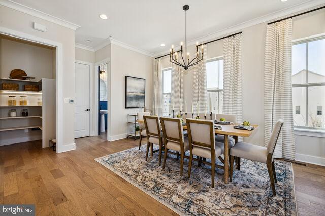 WATKINS MILL STATION - Residential