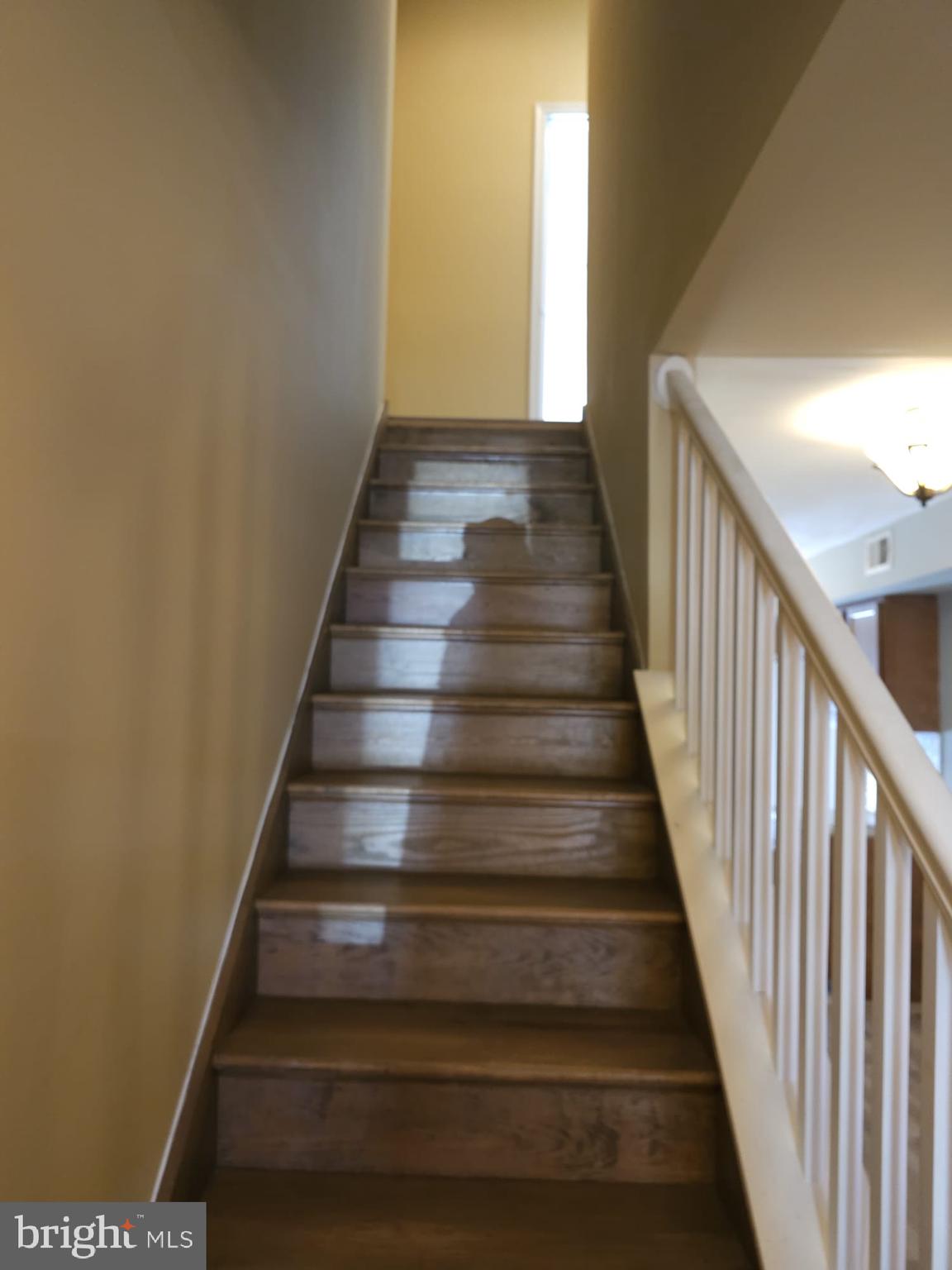 1125 NANTICOKE STREET