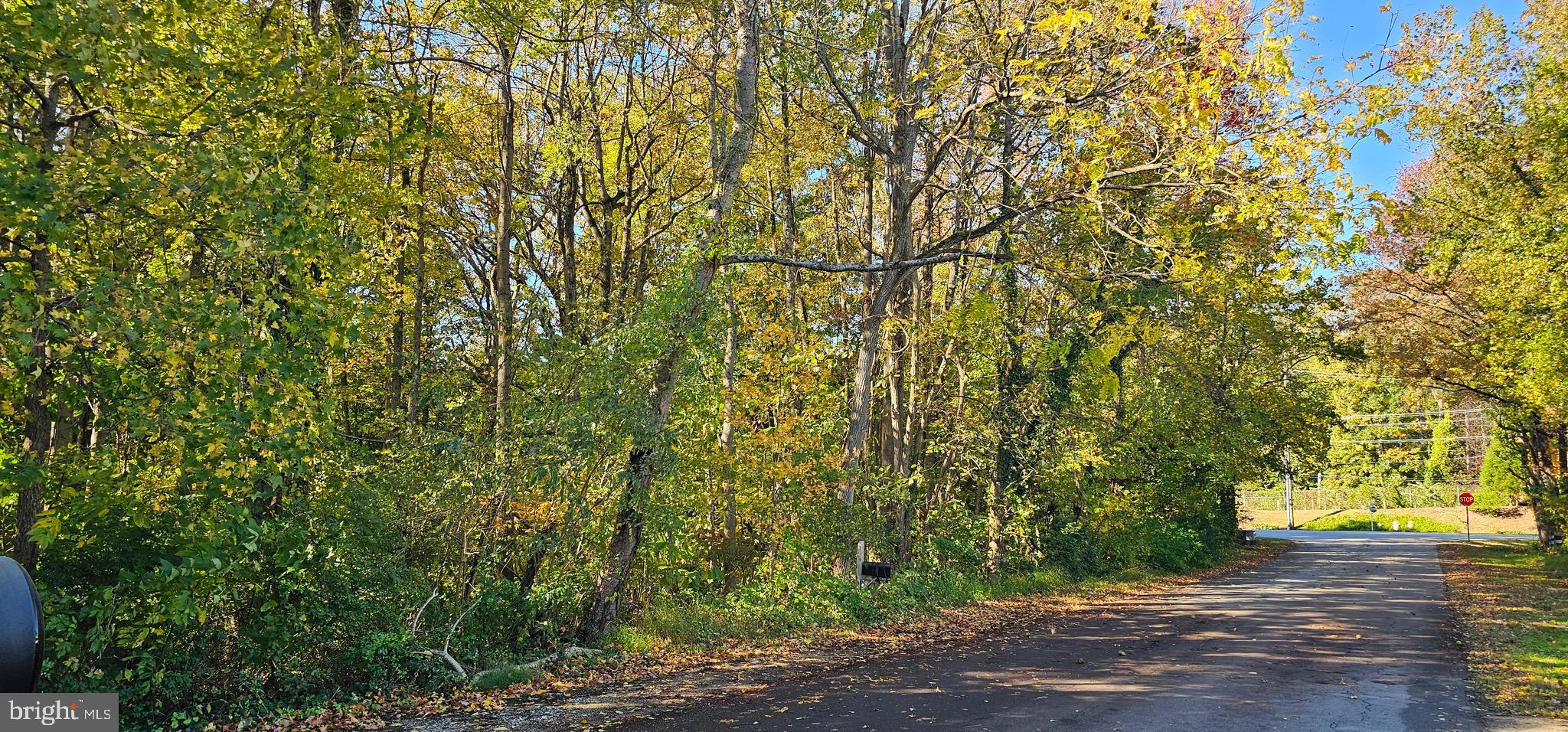 SHERWOOD MANOR - Land