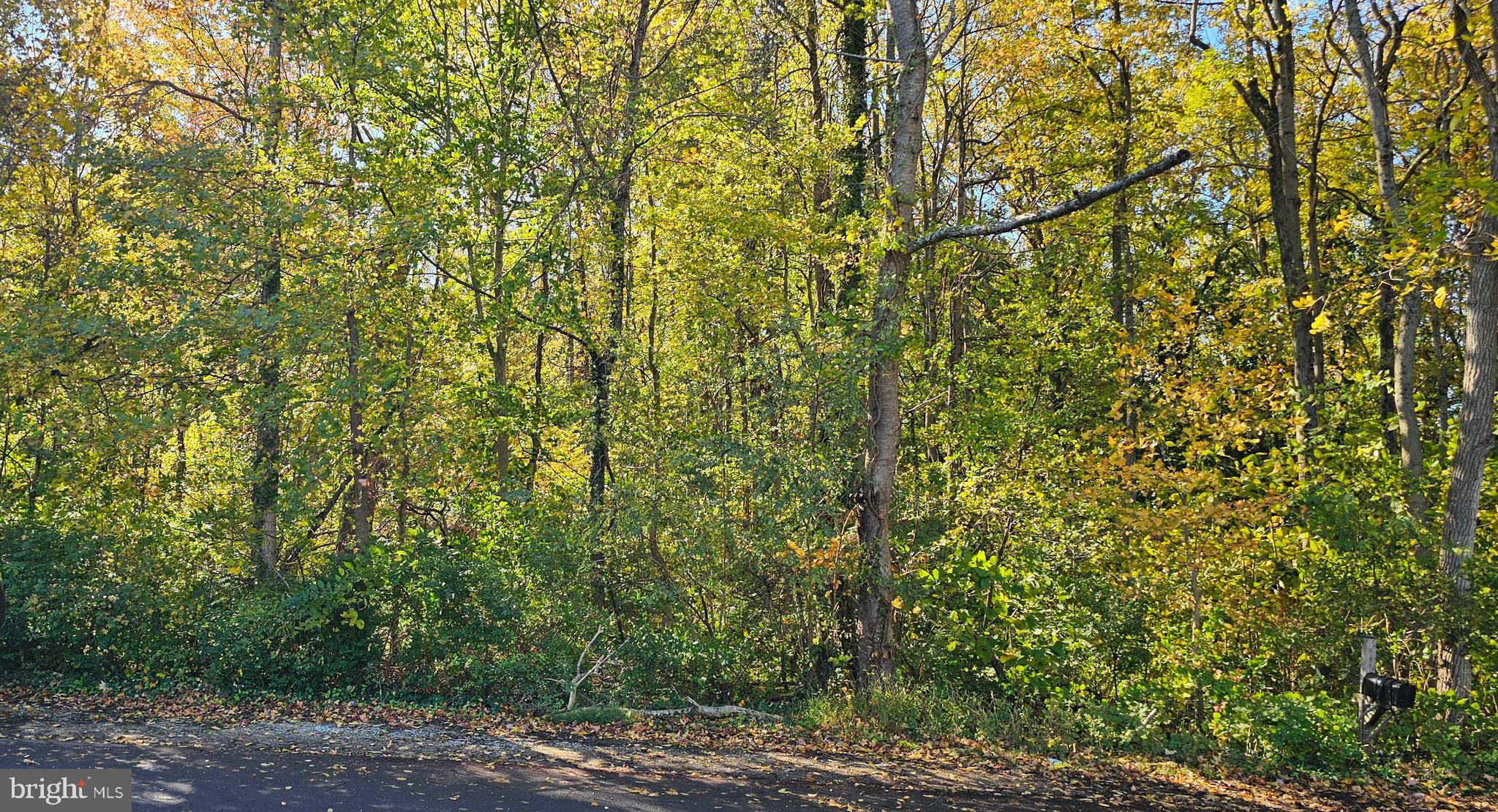 SHERWOOD MANOR - Land