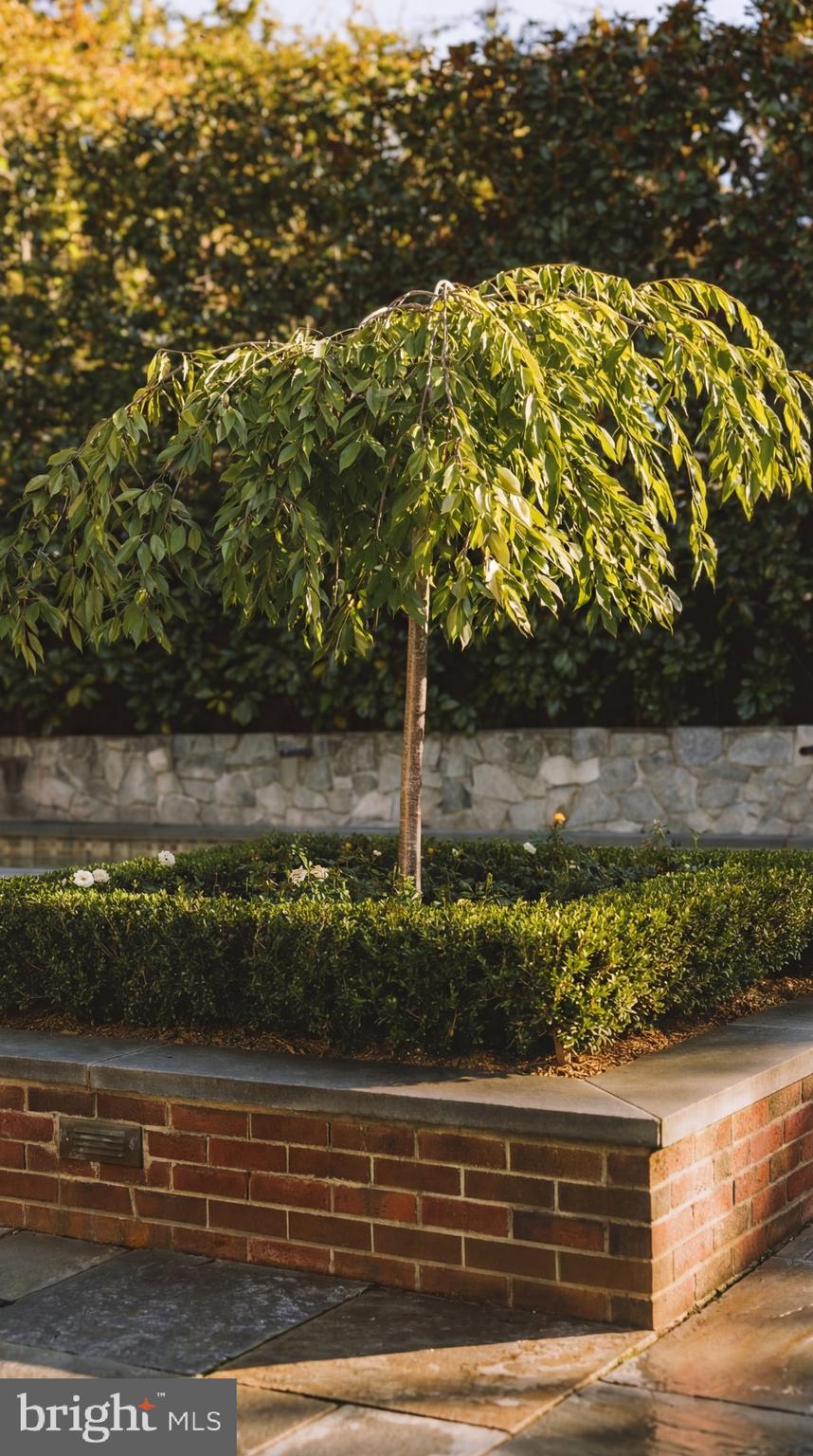 GEORGETOWN - Residential