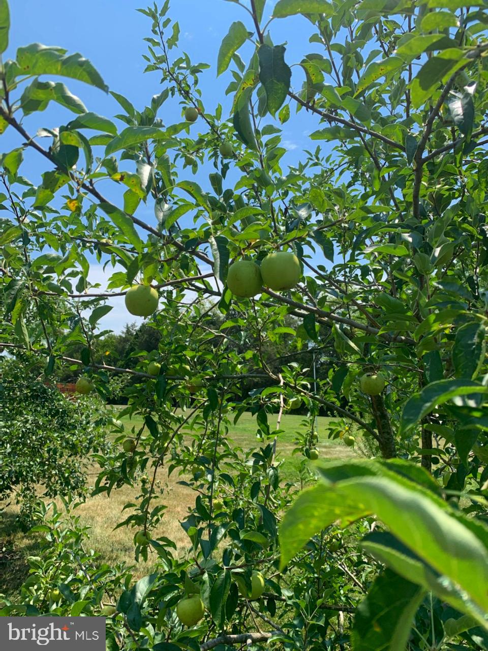 NOKESVILLE - Residential