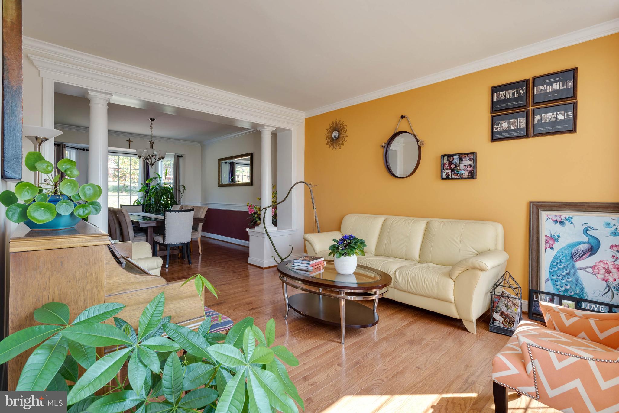 ELLIS MILL ESTATES - Residential