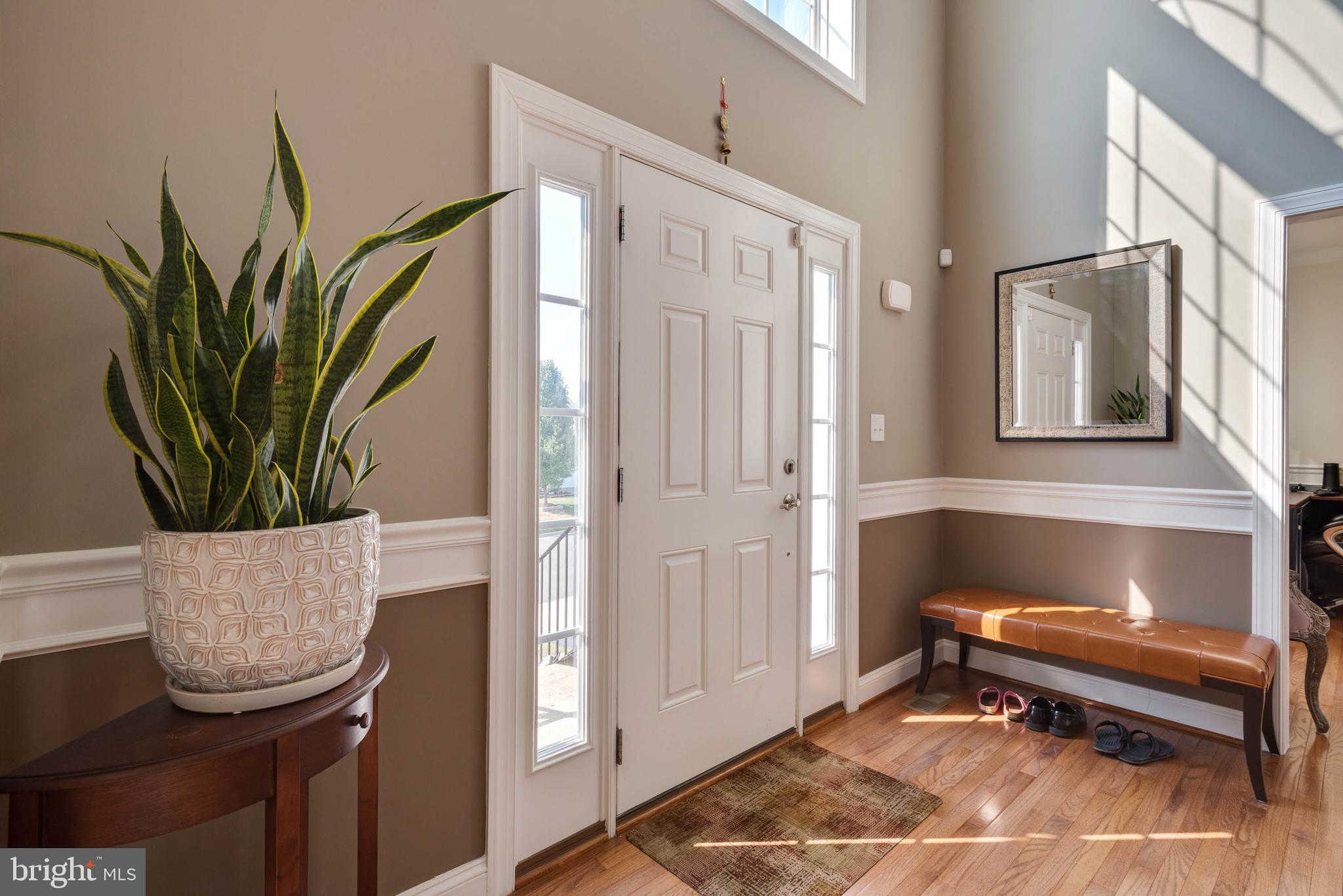 ELLIS MILL ESTATES - Residential