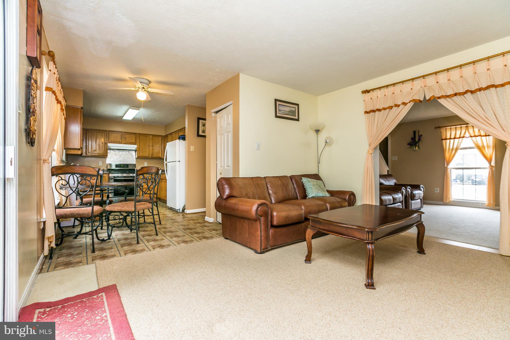 VILLAGE  OF PAINTERS MILL - Residential