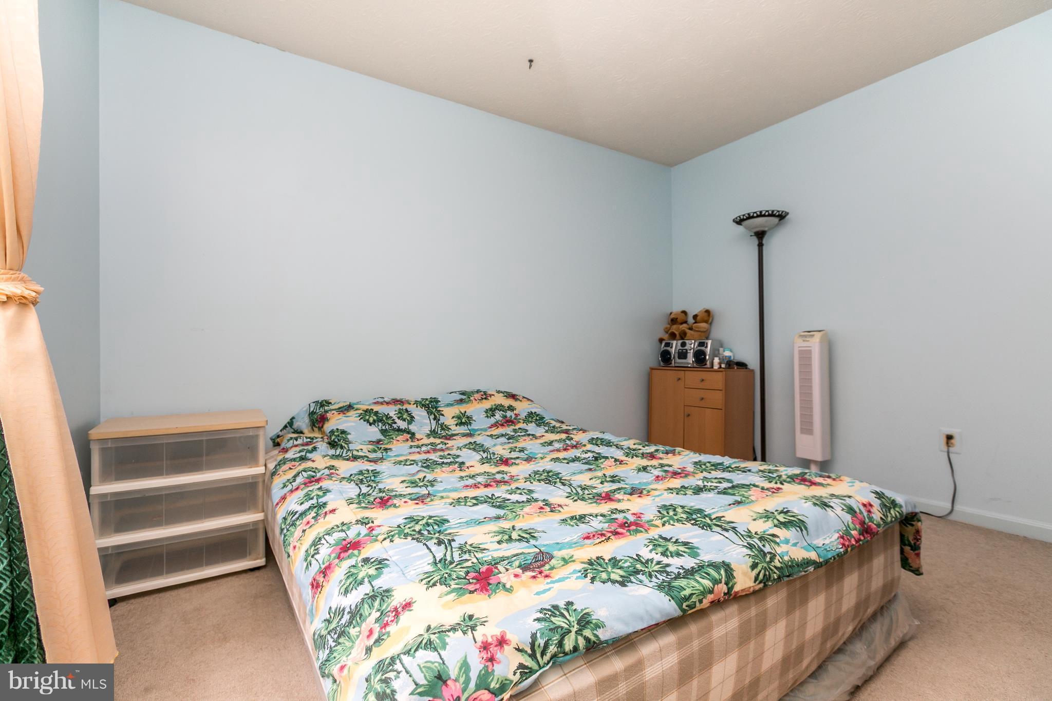 VILLAGE  OF PAINTERS MILL - Residential