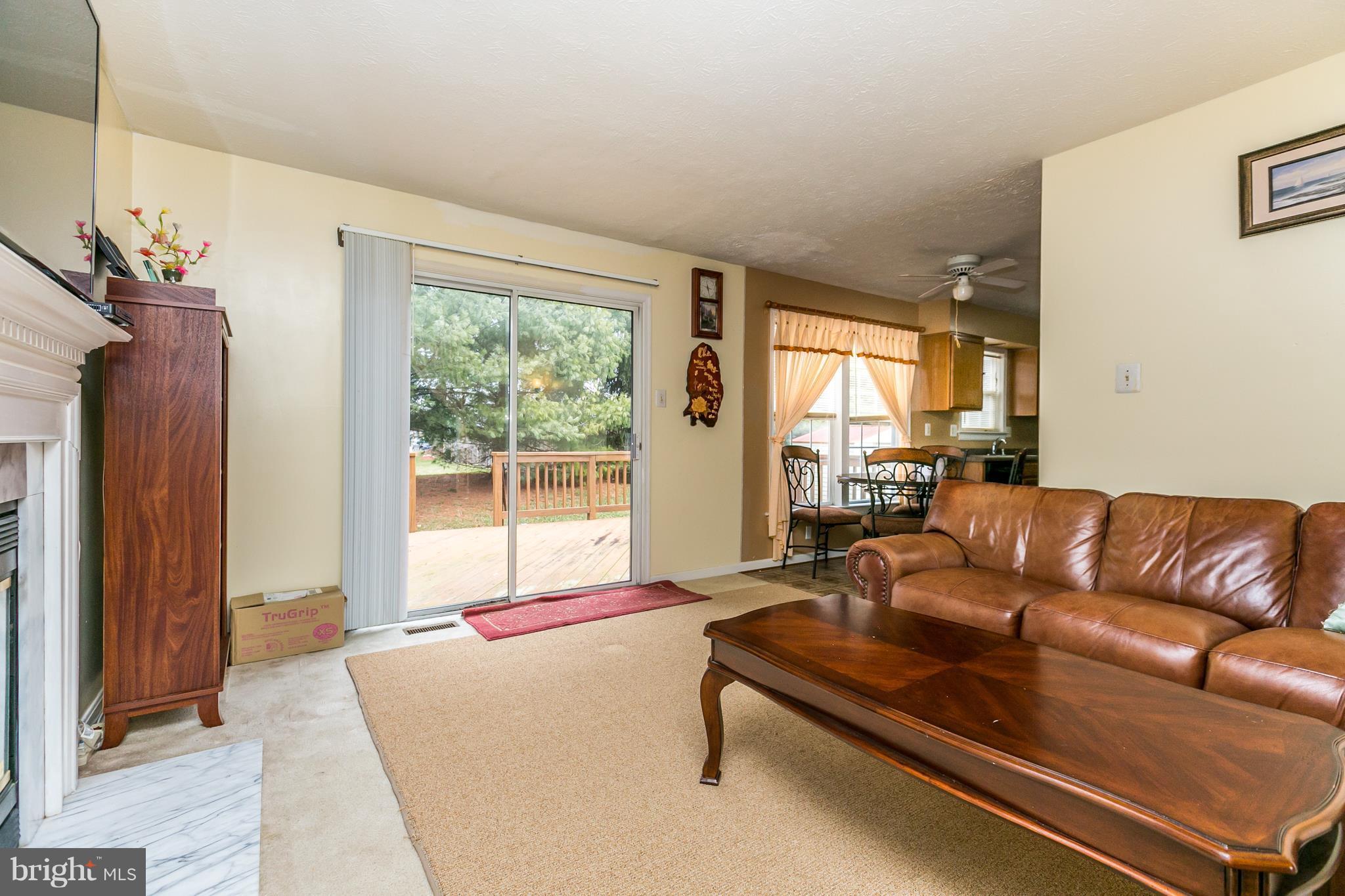 VILLAGE  OF PAINTERS MILL - Residential