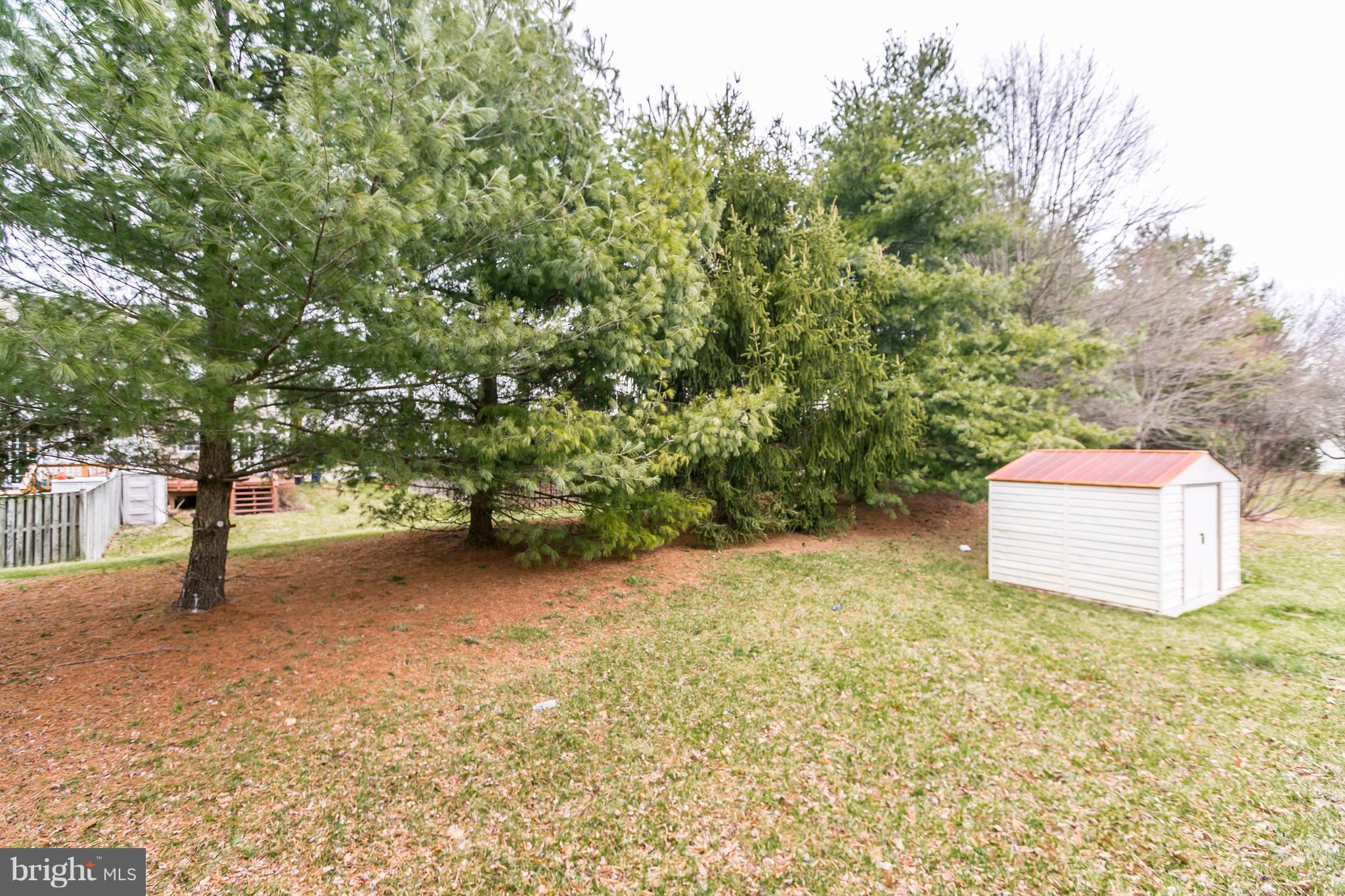 VILLAGE  OF PAINTERS MILL - Residential