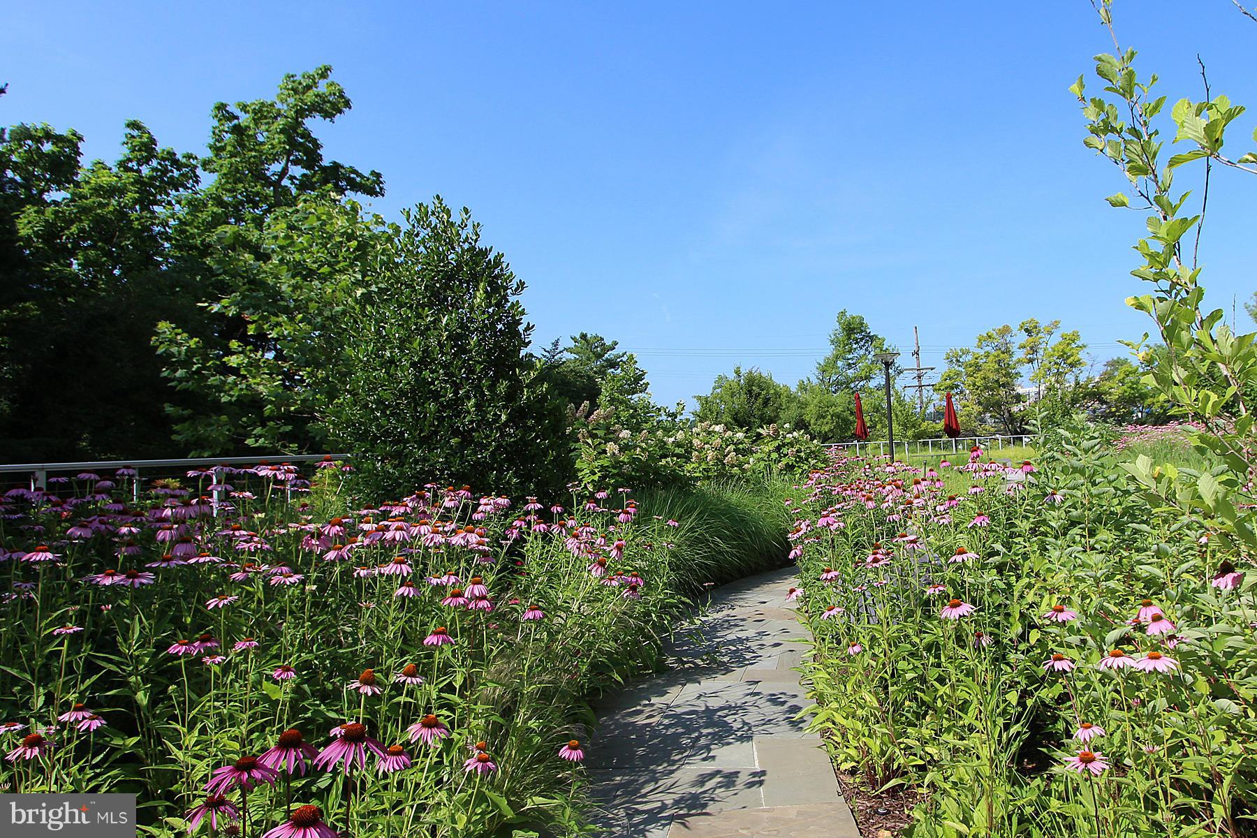 THE KENWOOD - Residential Lease