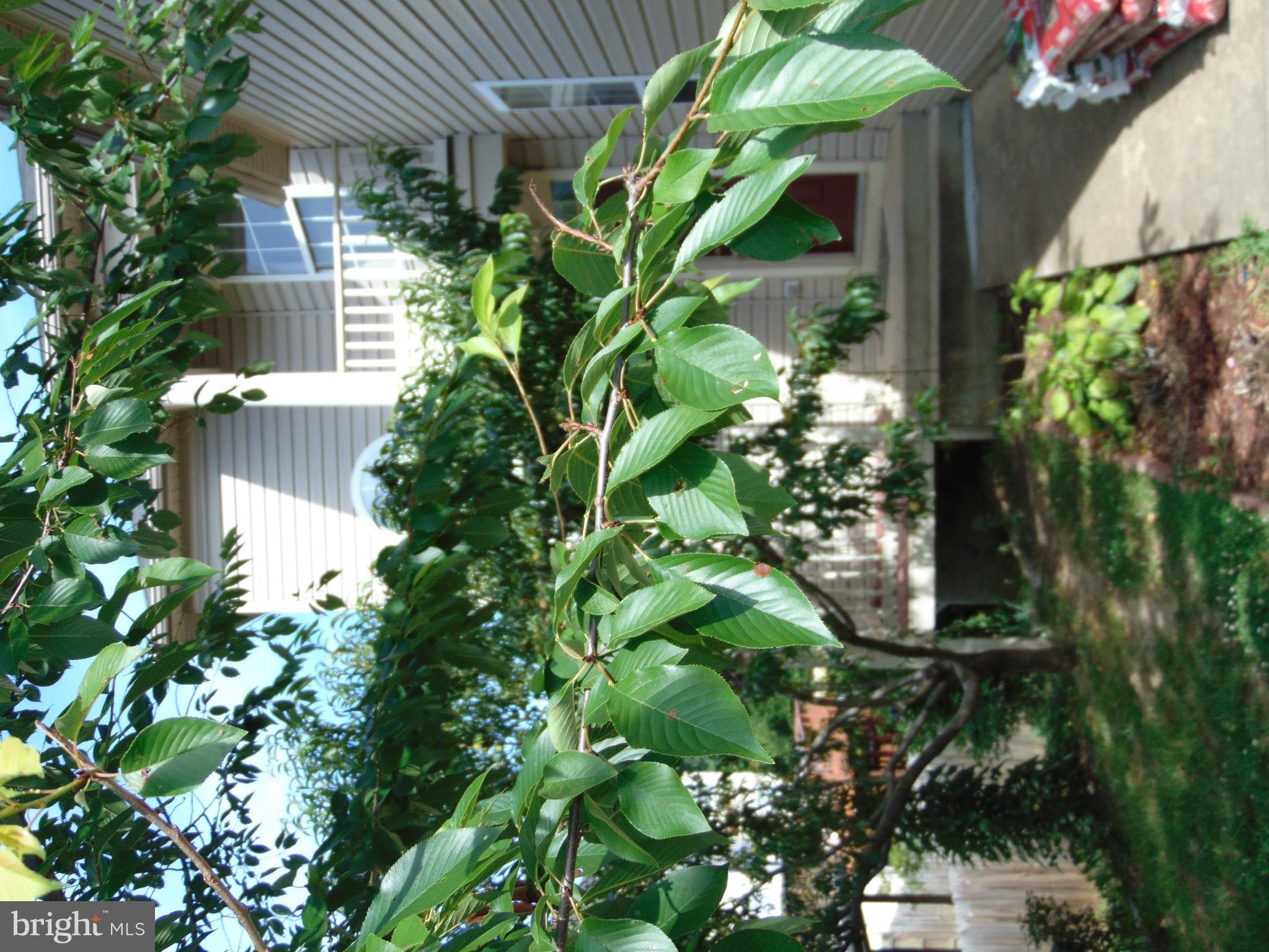 RIPPON LANDING - Residential Lease