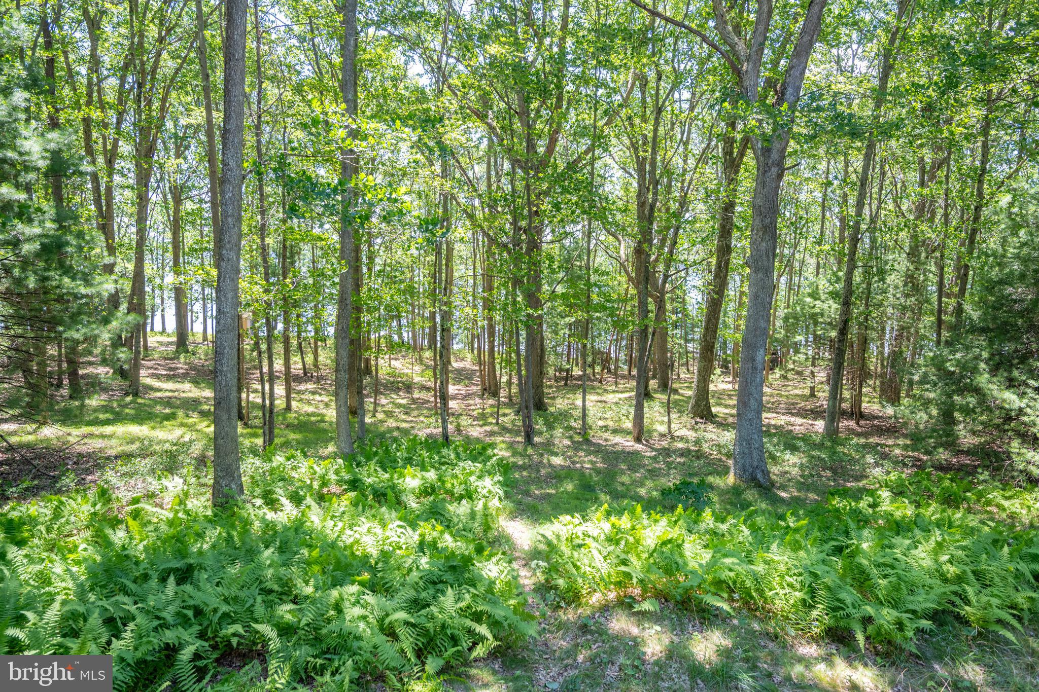 THOUSAND ACRES - Residential