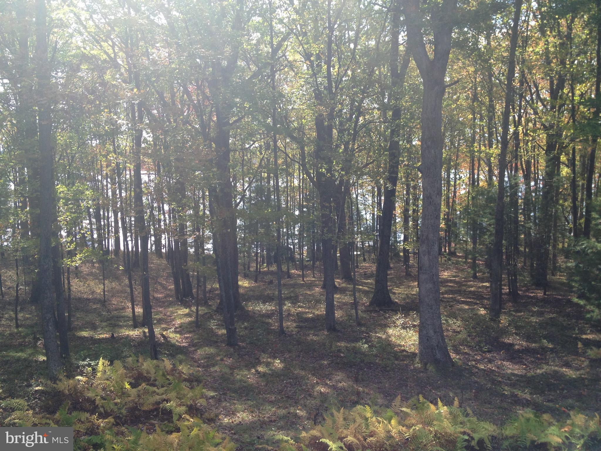 THOUSAND ACRES - Residential