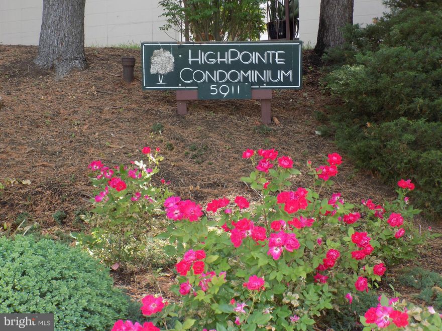 Updated in 2014! Beautiful Granite Counter Tops with All SS Appliances New Designer Kitchen Lighting Full Sized W/D in Unit Pergo Floors in Lvng Rm, Dining Rm, Kitchen 2 MBR style Hi-Rise Luxury Condo Outdr Pool w/ Jacuzzi Sauna GYM Basketball Courts Tennis Courts Dog Walking Area Grilling Area Metro Bus Stop at Street! Secured Building Access Garaged Parking Space, add. avlbl 1mi 395 or 495