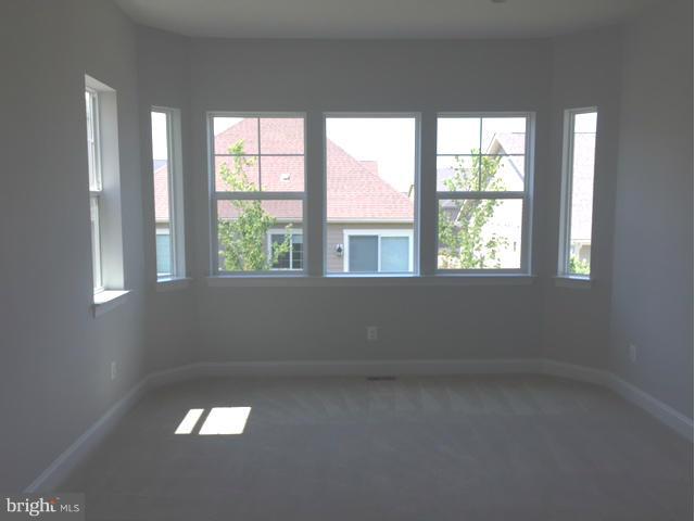 LAKE FREDERICK - Residential