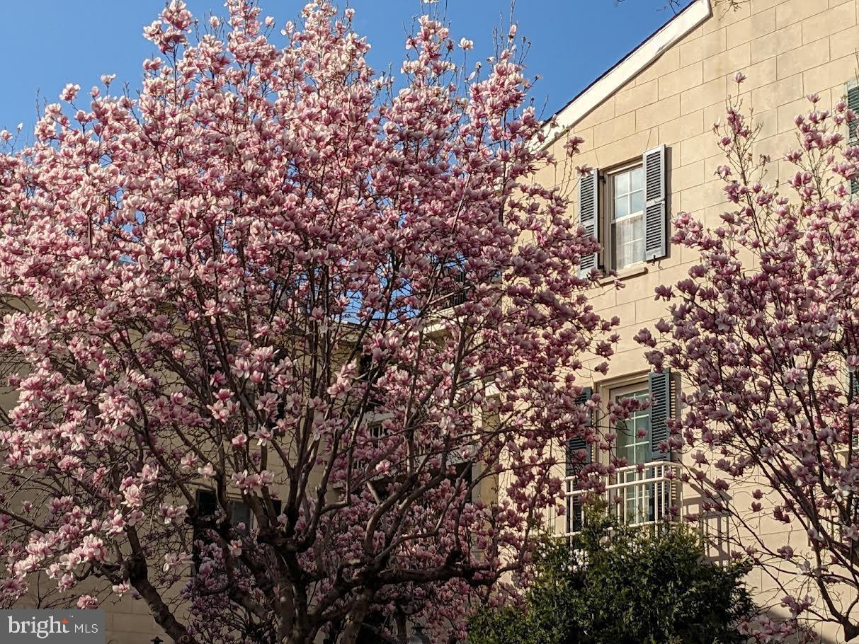 WASHINGTON SQ WEST - Residential