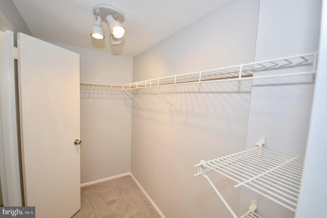 PORT ROYAL CONDOMINIUM - Residential Lease