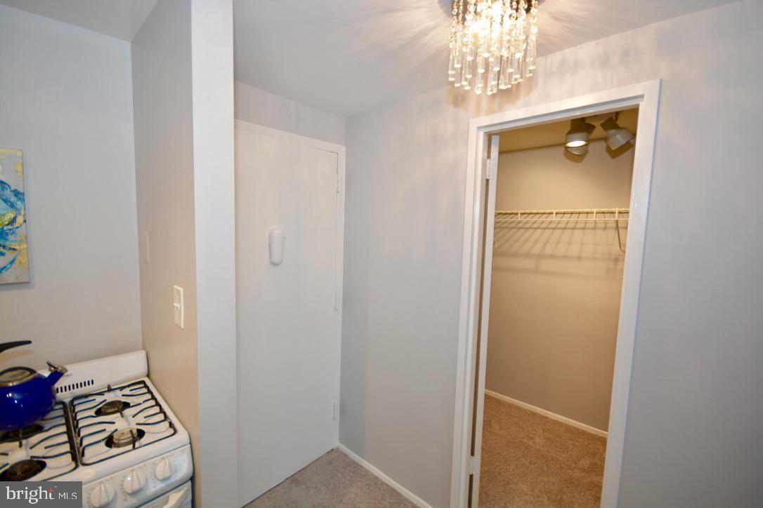 PORT ROYAL CONDOMINIUM - Residential Lease