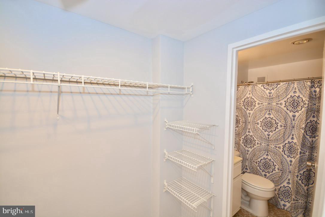 PORT ROYAL CONDOMINIUM - Residential Lease