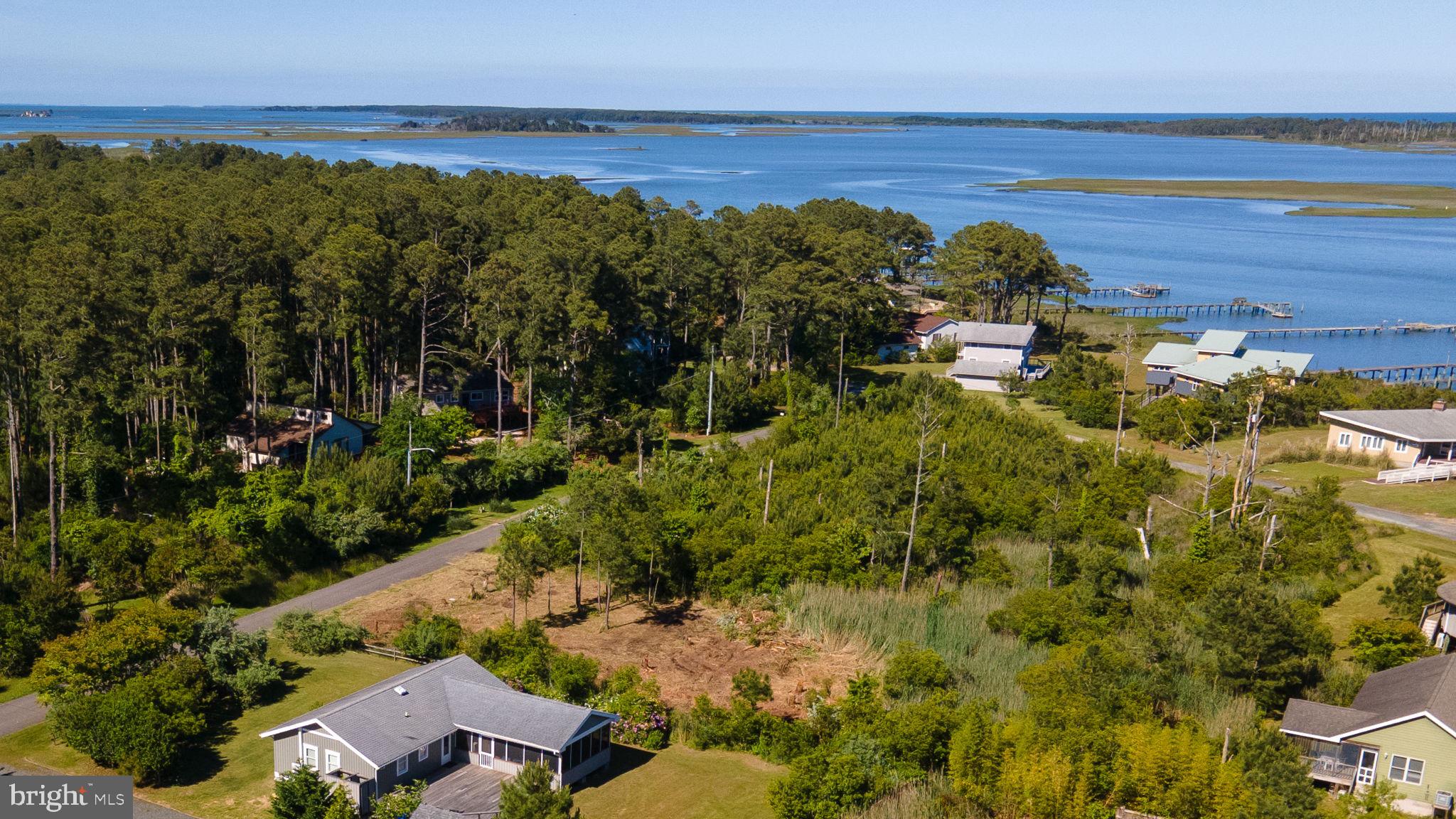 CHINCOTEAGUE - Land