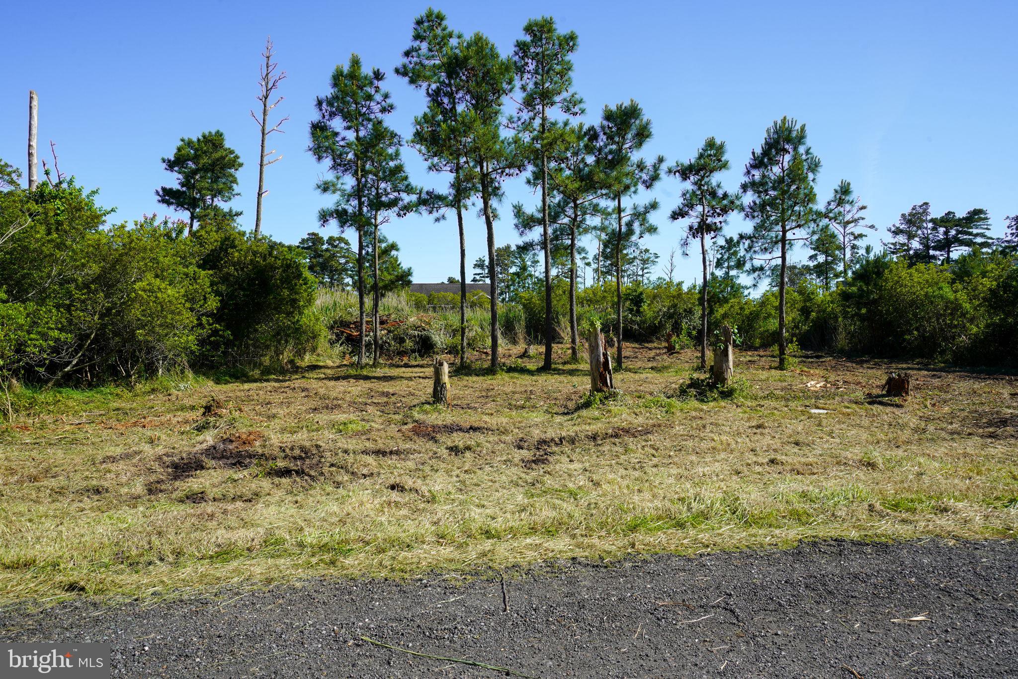 CHINCOTEAGUE - Land