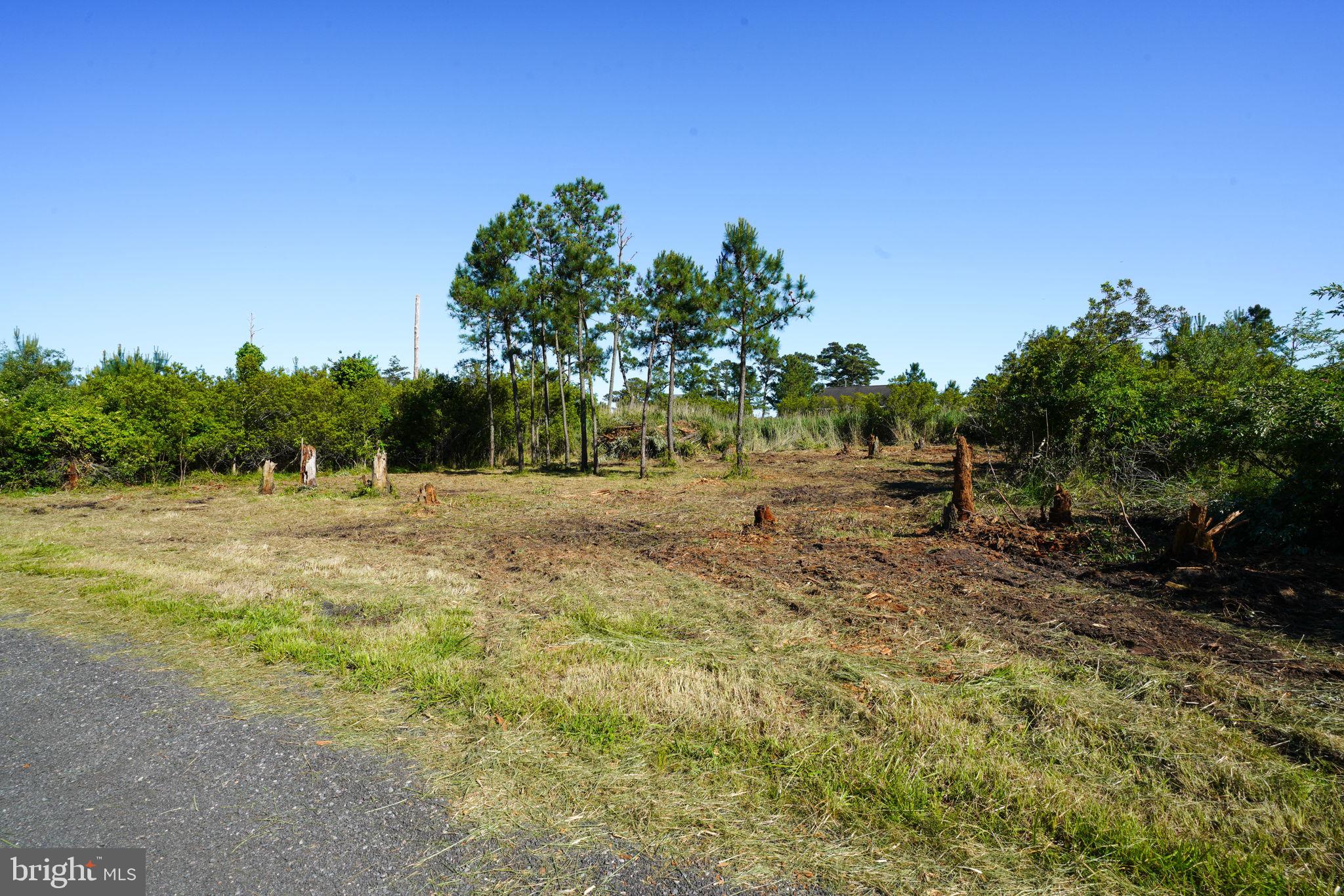 CHINCOTEAGUE - Land