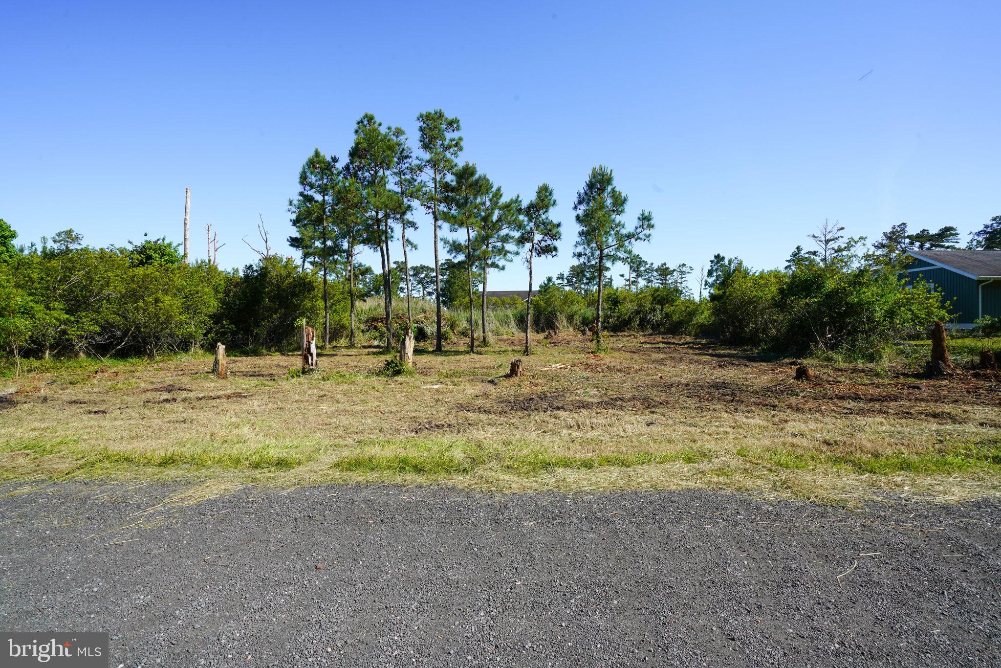 CHINCOTEAGUE - Land