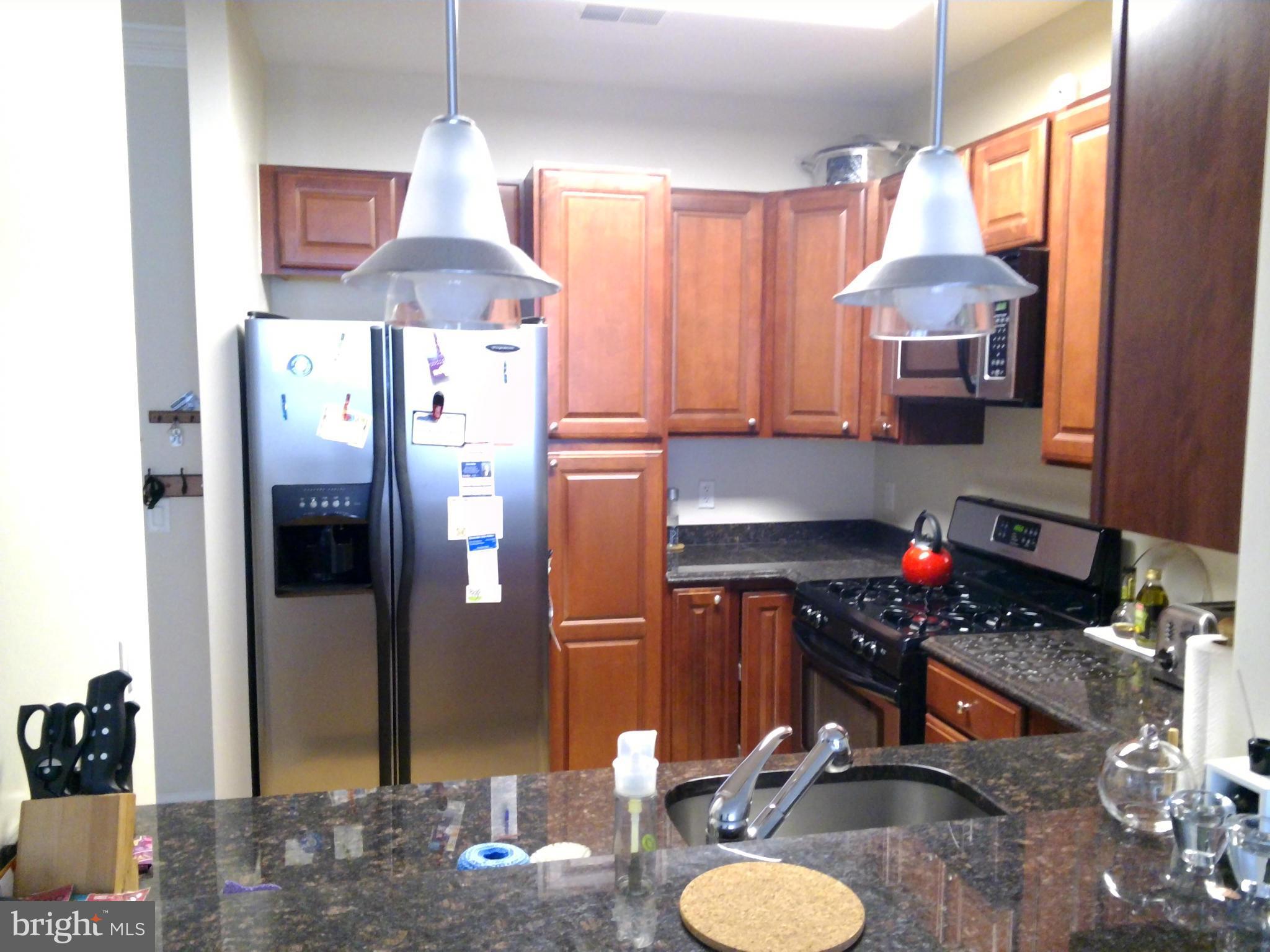 PALLADIAN - Residential