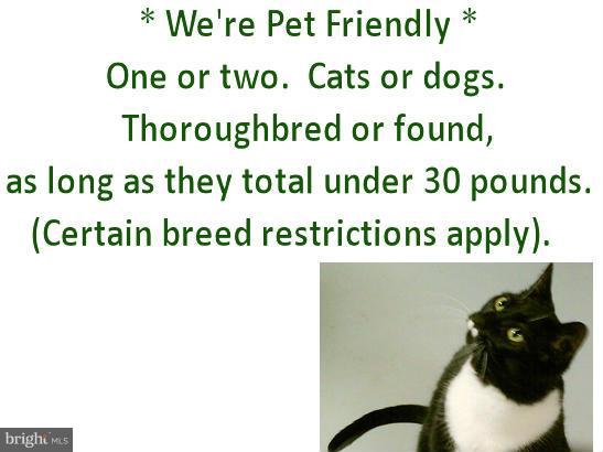 PALLADIAN - Residential