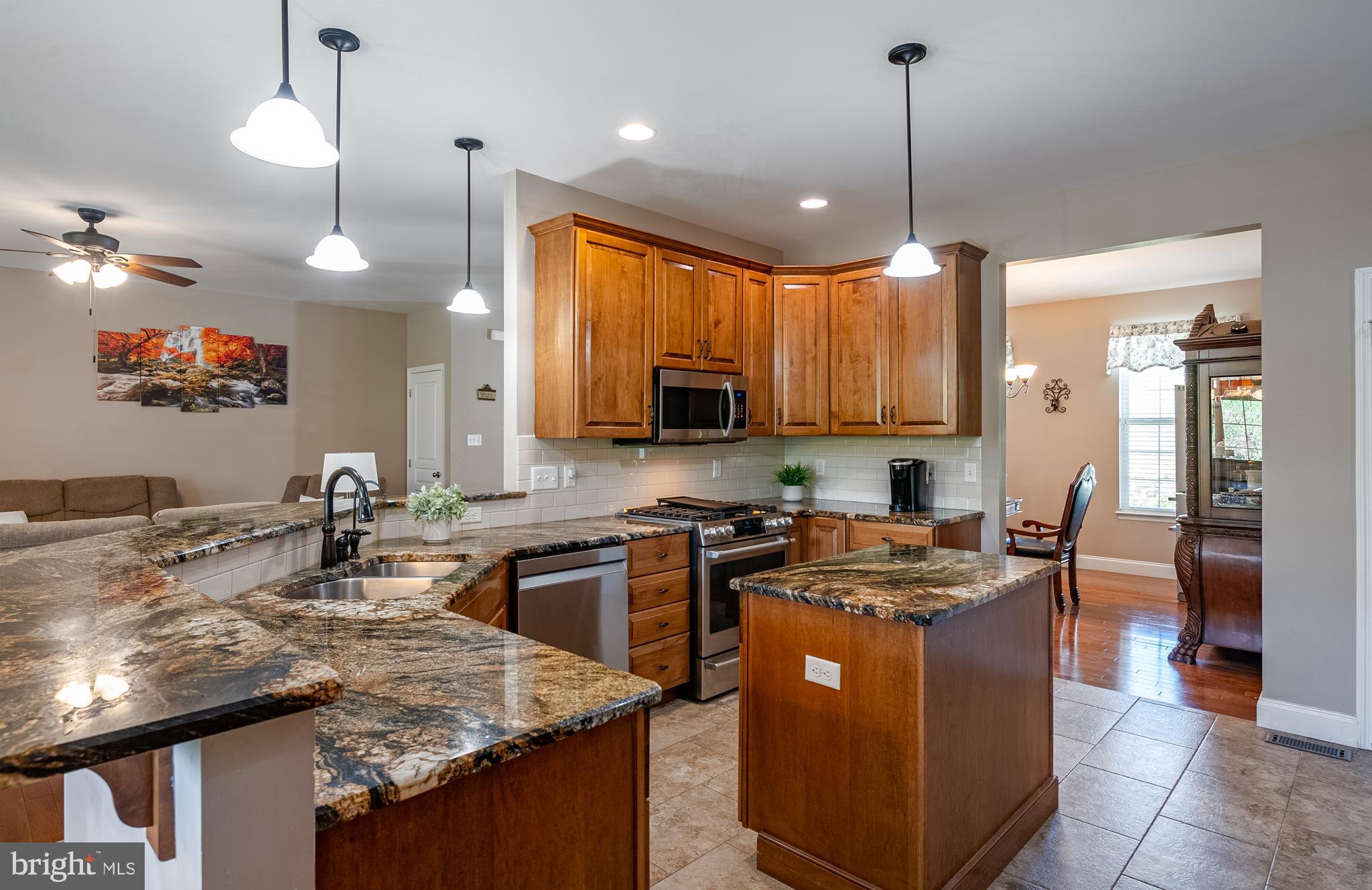 ANTIETAM WATCH - Residential