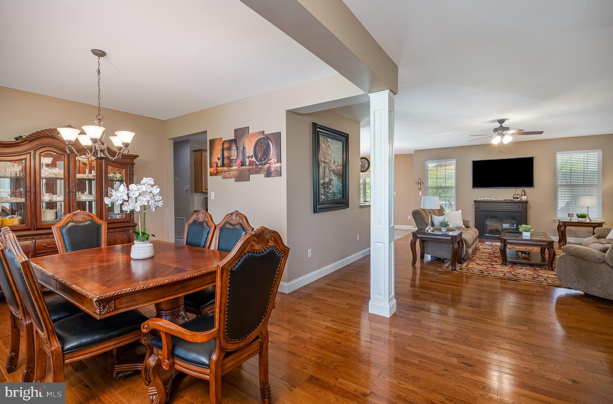 ANTIETAM WATCH - Residential