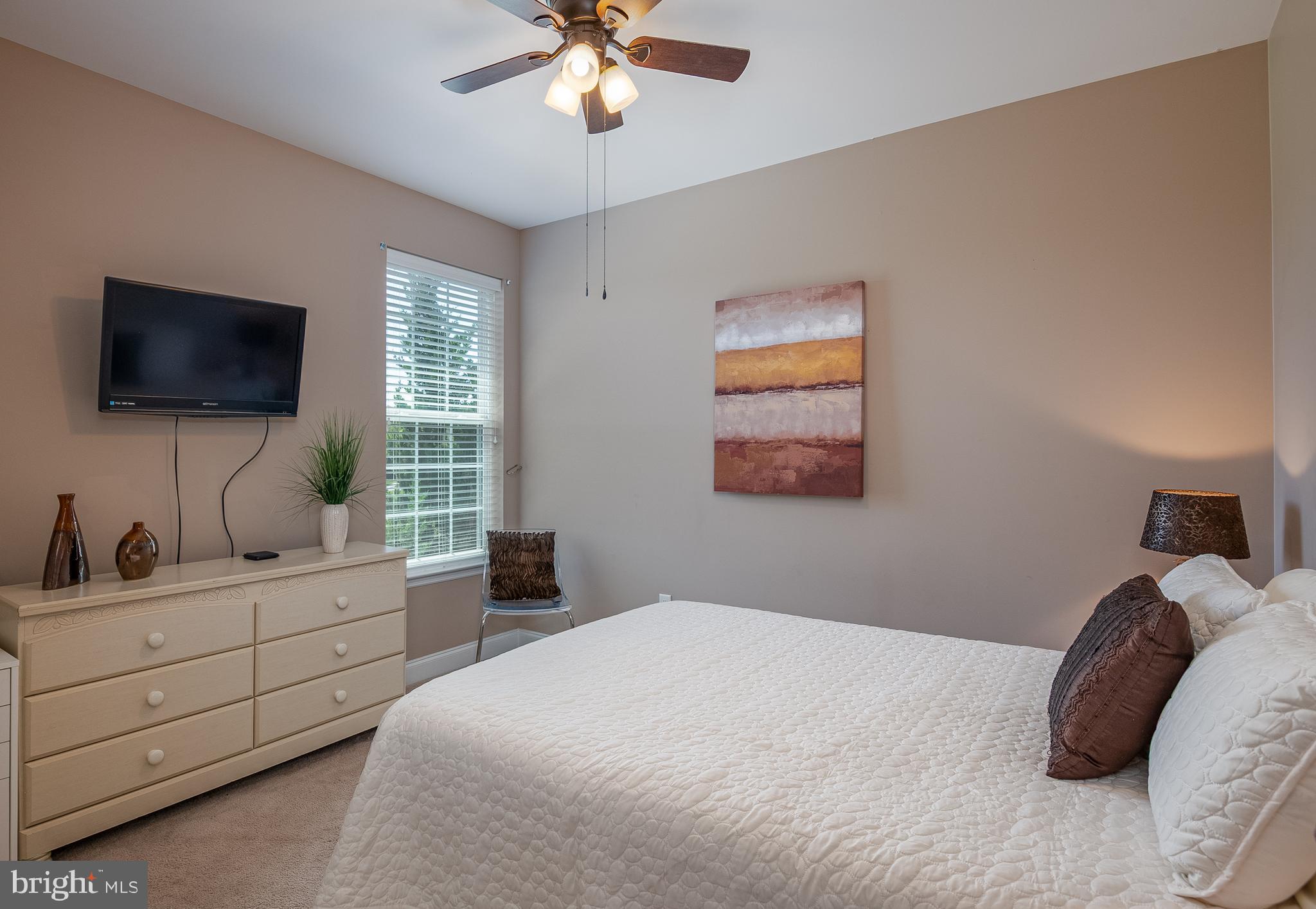 ANTIETAM WATCH - Residential