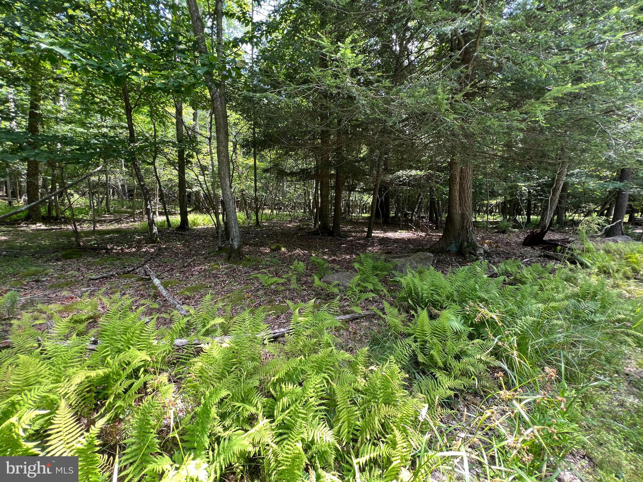 GALLATIN WOODS - Land