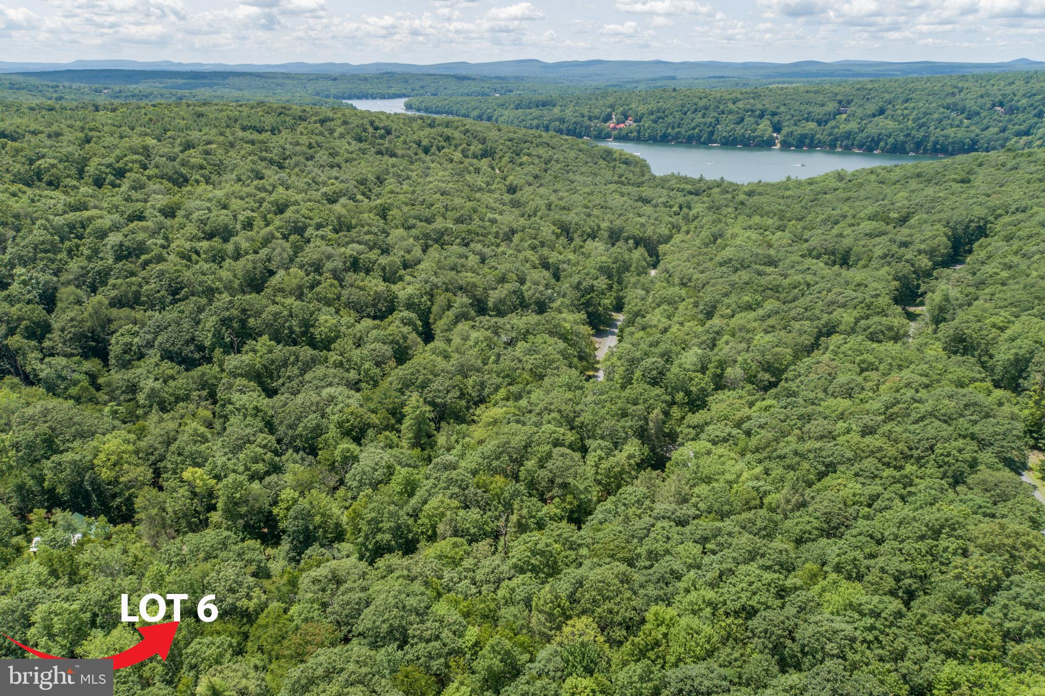 GALLATIN WOODS - Land